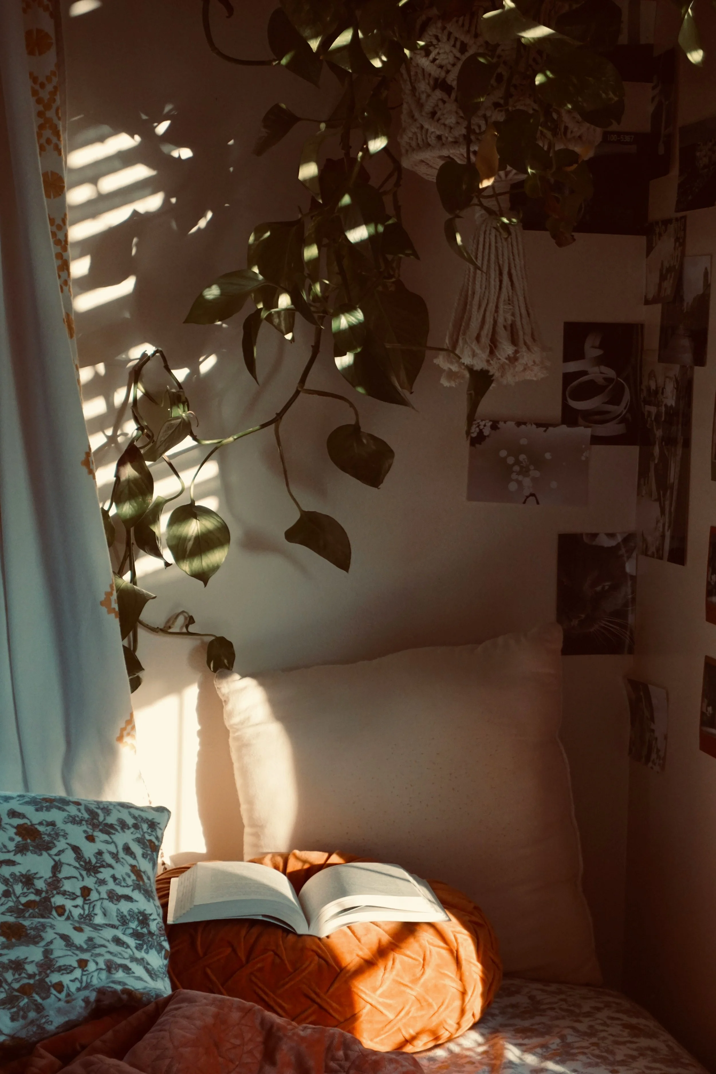 Sunlit cozy bedroom with an open book on an orange blanket, trailing houseplants, framed artwork, and a black cat.