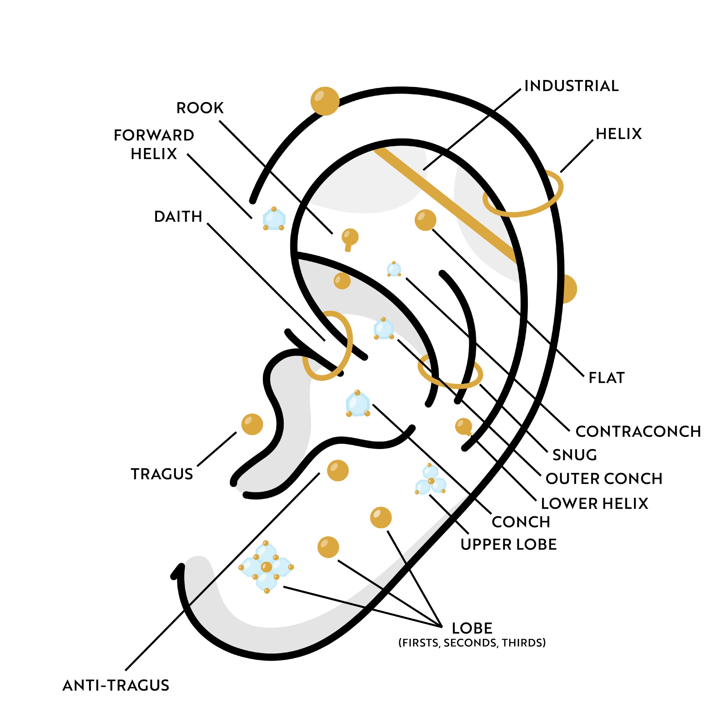 UPDATE-EAR-DIAGRAM-WEBSITE-01-3.png