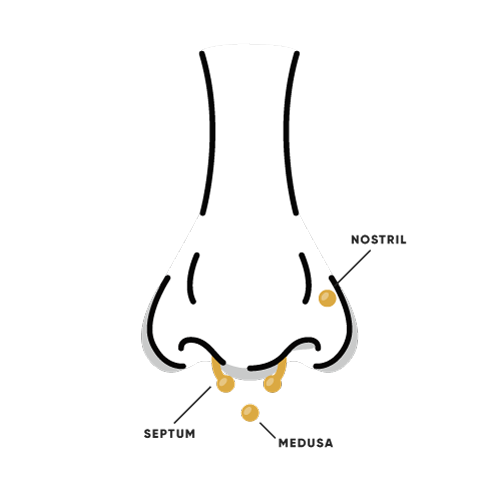 nose_diagram_web_500x500px.png