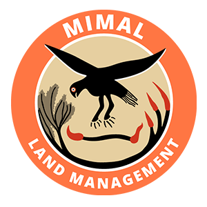 mimal-logo.png