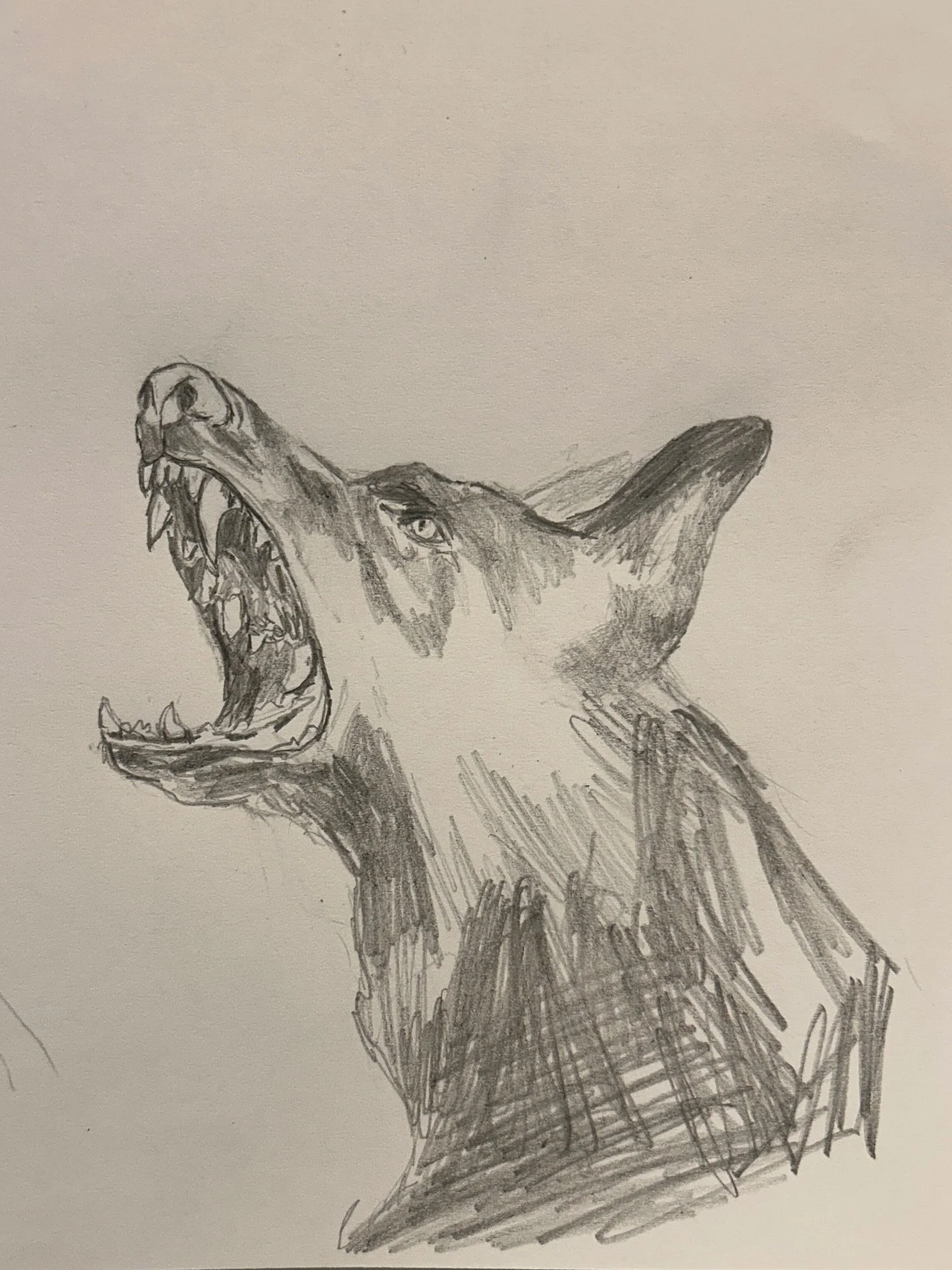 J'avais peur des chiens, puis il est arriv&eacute; dans ma vie. 

Je dormais sur un divan-lit, &agrave; travers les larmes, &agrave; c&ocirc;t&eacute; des cendres de ma m&egrave;re. Le premier No&euml;l sans elle, puis j'ai vu &Eacute;douard, berger 