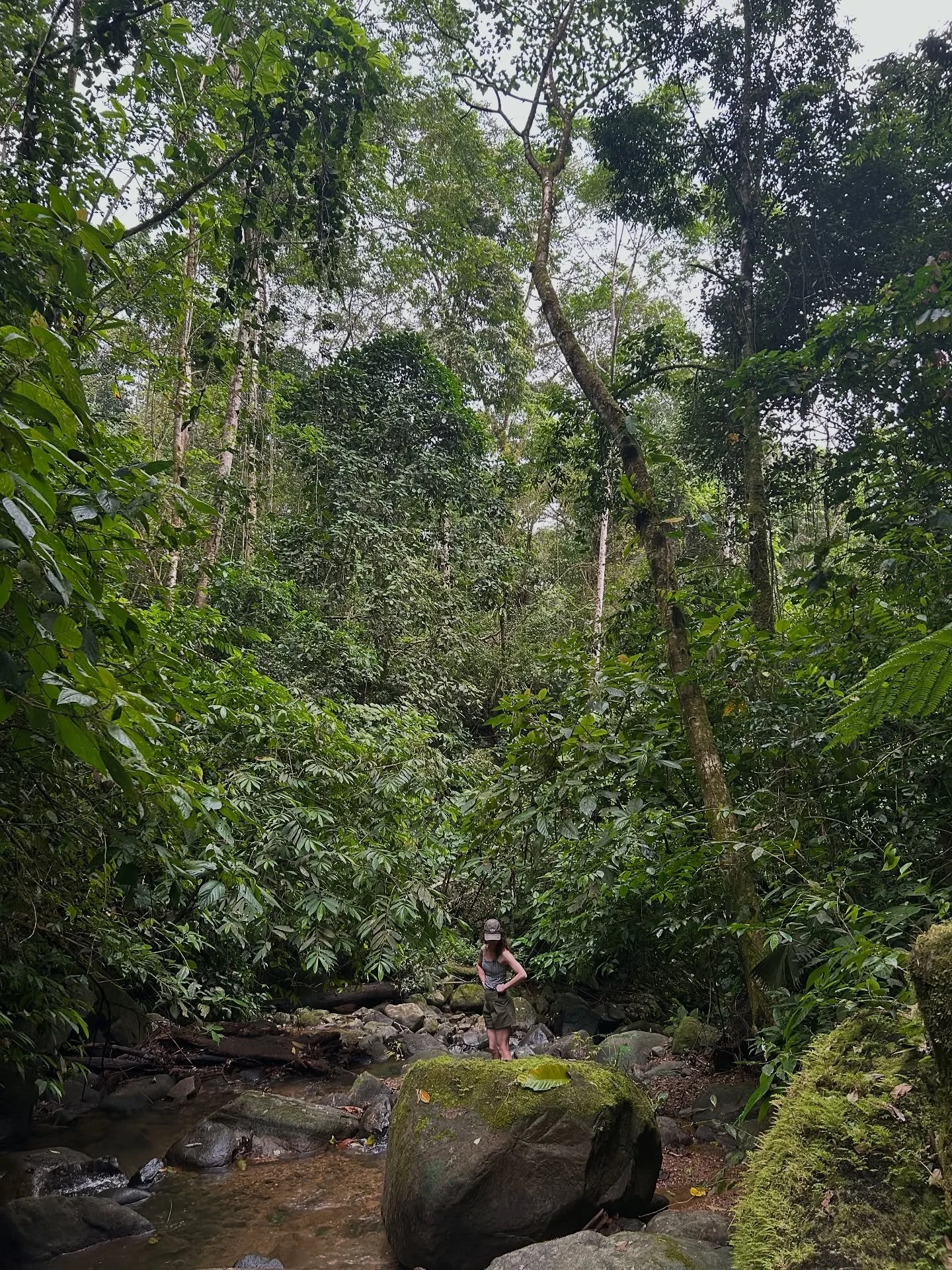 La nature est un refuge, une source d&rsquo;inspiration et d&rsquo;apprentissage. 

Le Costa Rica m&rsquo;appara&icirc;t comme un v&eacute;ritable mod&egrave;le de cohabitation avec le vivant. 🤍

Je suis reconnaissante d&rsquo;avoir pu d&eacute;couv