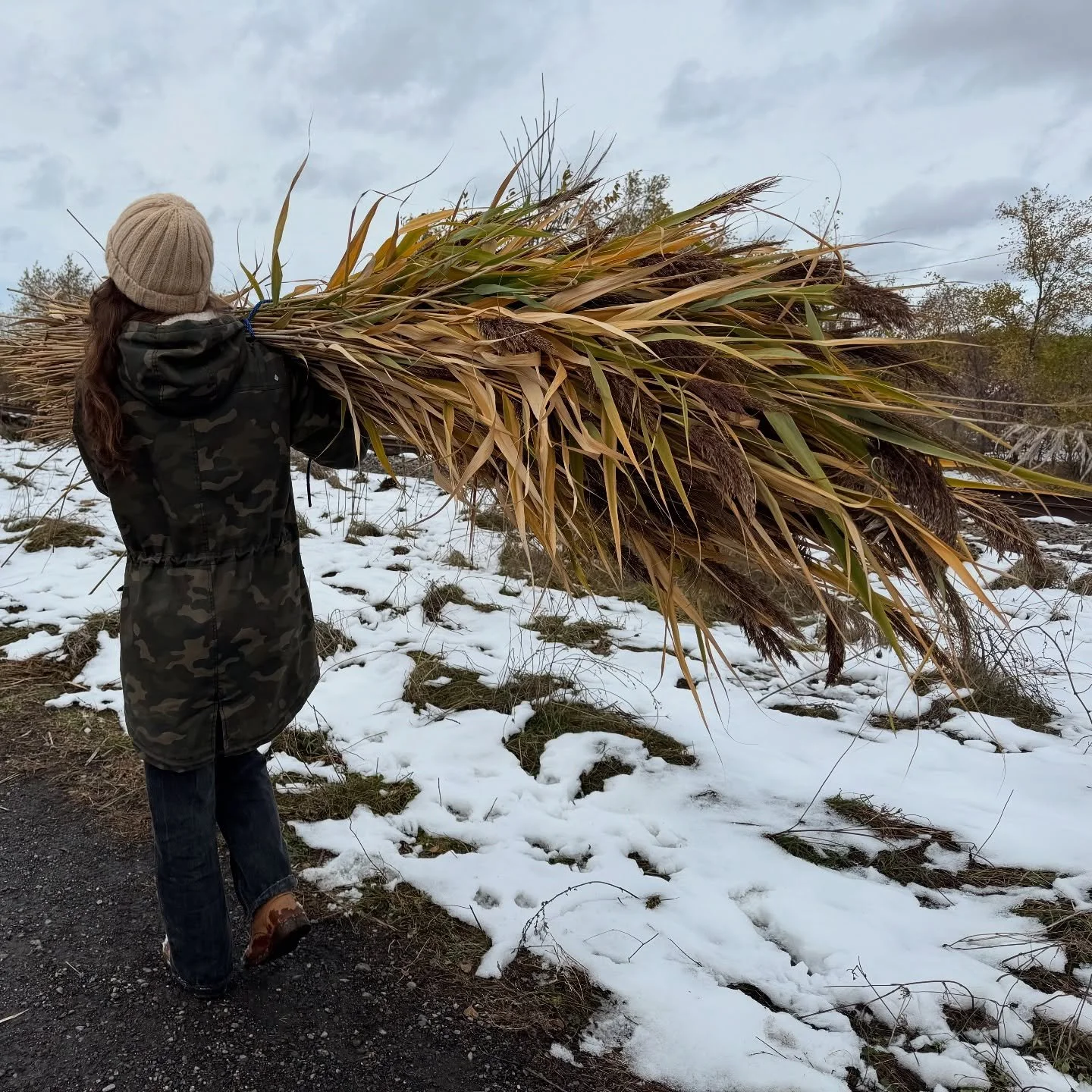 En 2009, avant les arts visuels, je suis devenue fleuriste. 🥀🌻🌾

Plus tard, les v&eacute;g&eacute;taux sont revenus dans ma pratique, comme si mon corps savait avant ma t&ecirc;te que c'est l&agrave; que &ccedil;a faisait sens. 

Je travaille avec