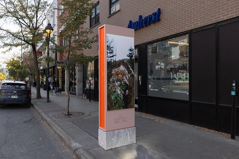 Merci pour les photos! 🍂🍂🍂

REGARDE! 
&Eacute;dition 2025-2026 

Se cacher, textiles et v&eacute;g&eacute;taux

Au coin de Ontario/Visitation , Montr&eacute;al

📸 Cr&eacute;dit photo : Jacques Bellavance

@quartiercultureldesfaubourgs 
@centrevil
