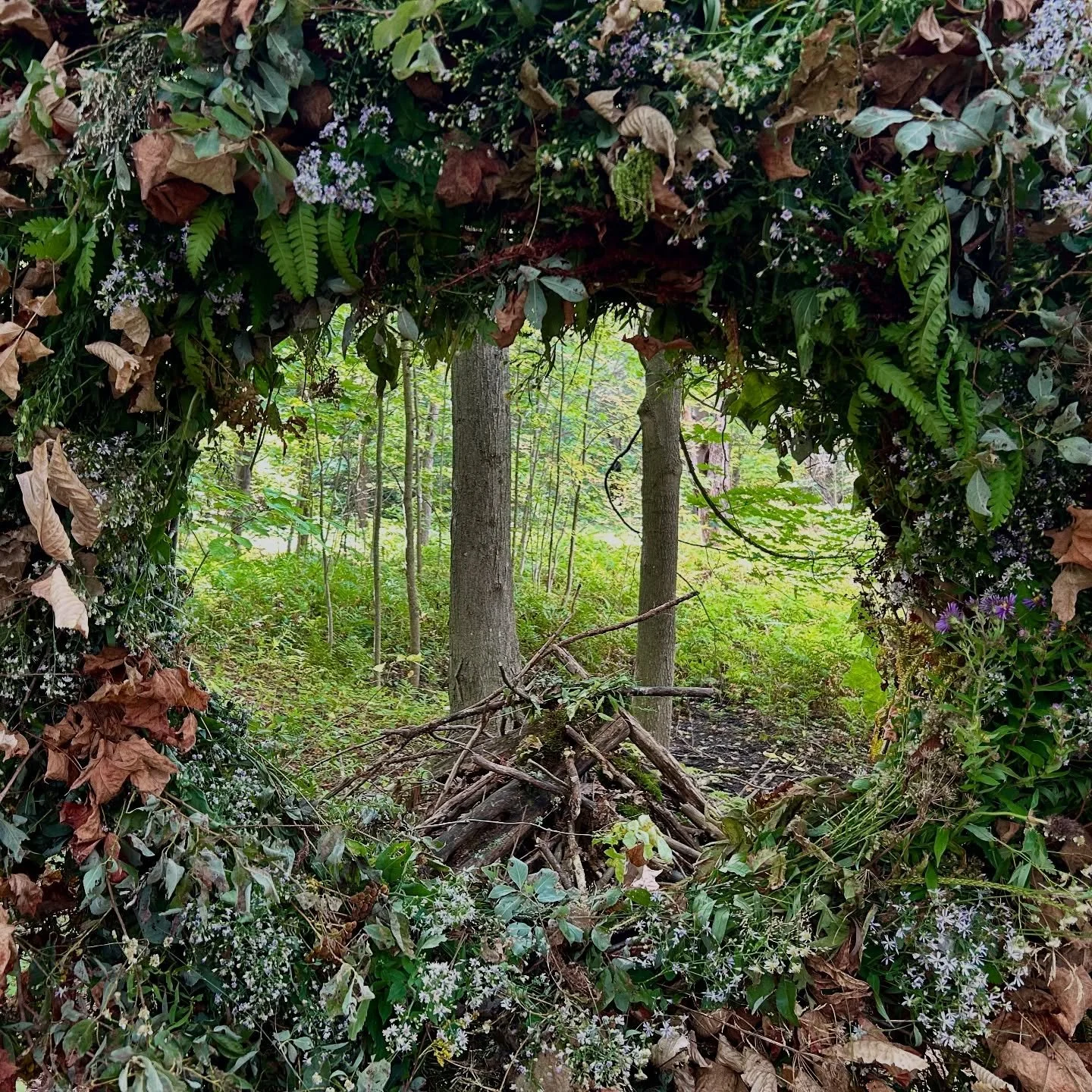 Tout le monde veut une couronne sur sa porte en guise de d&eacute;coration, mais personne ne veut de mauvaises herbes dans son jardin. Sous le th&egrave;me de la dualit&eacute;, j&rsquo;ai choisi de cr&eacute;er  cette oeuvre Land art. 

J'ai cueilli