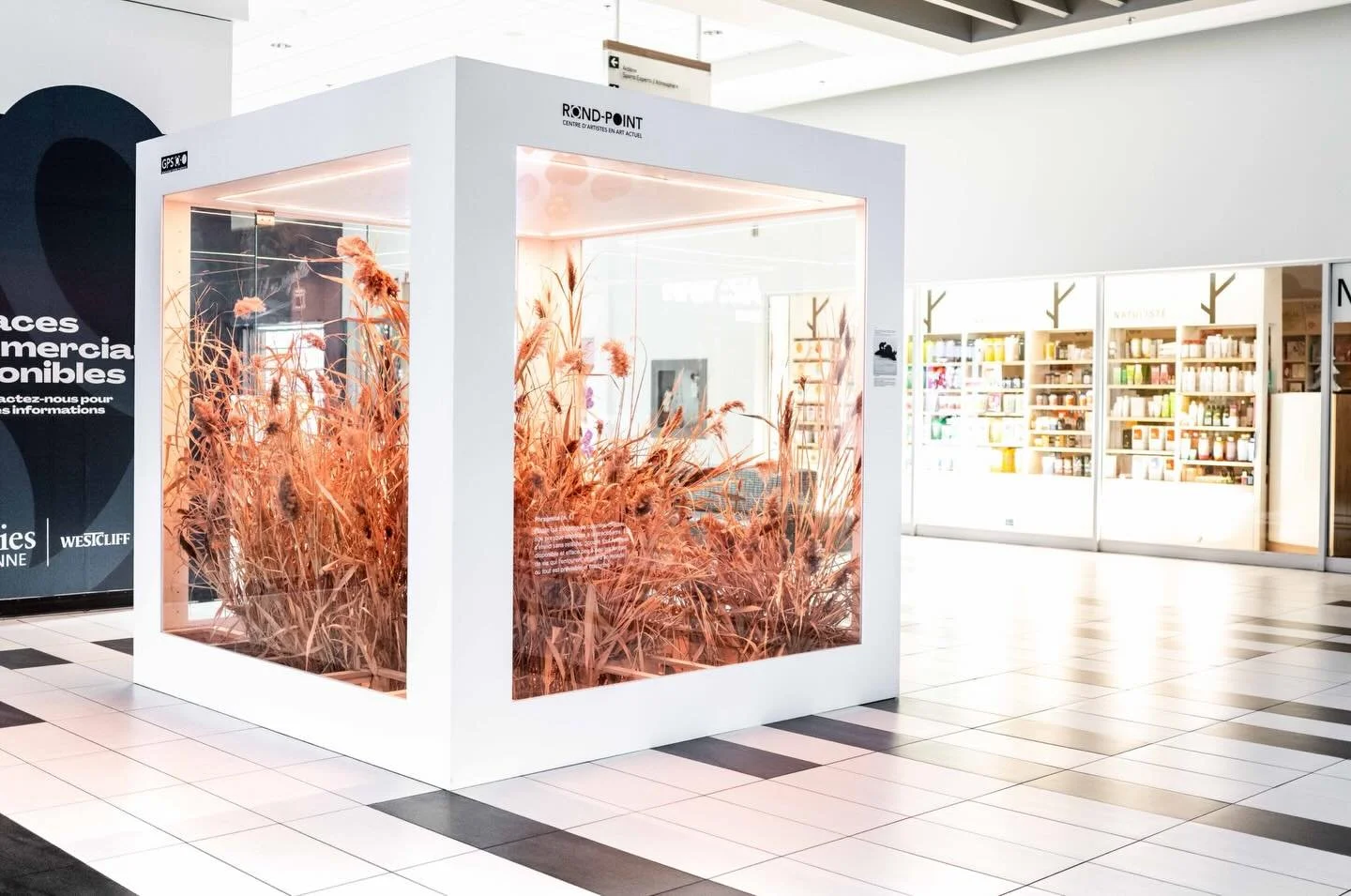 État végétal

Le centre d’artistes ROND-POINT présente ÉTAT VÉGÉTAL de l’artiste multidisciplinaire Christina Martin à l’espace GPS 0-0, située à l’entrée numéro 05 du centre d’achat Galeries Terrebonne au 1185, boul. Moody, Terrebonne (Qc) J6W 4N2
É