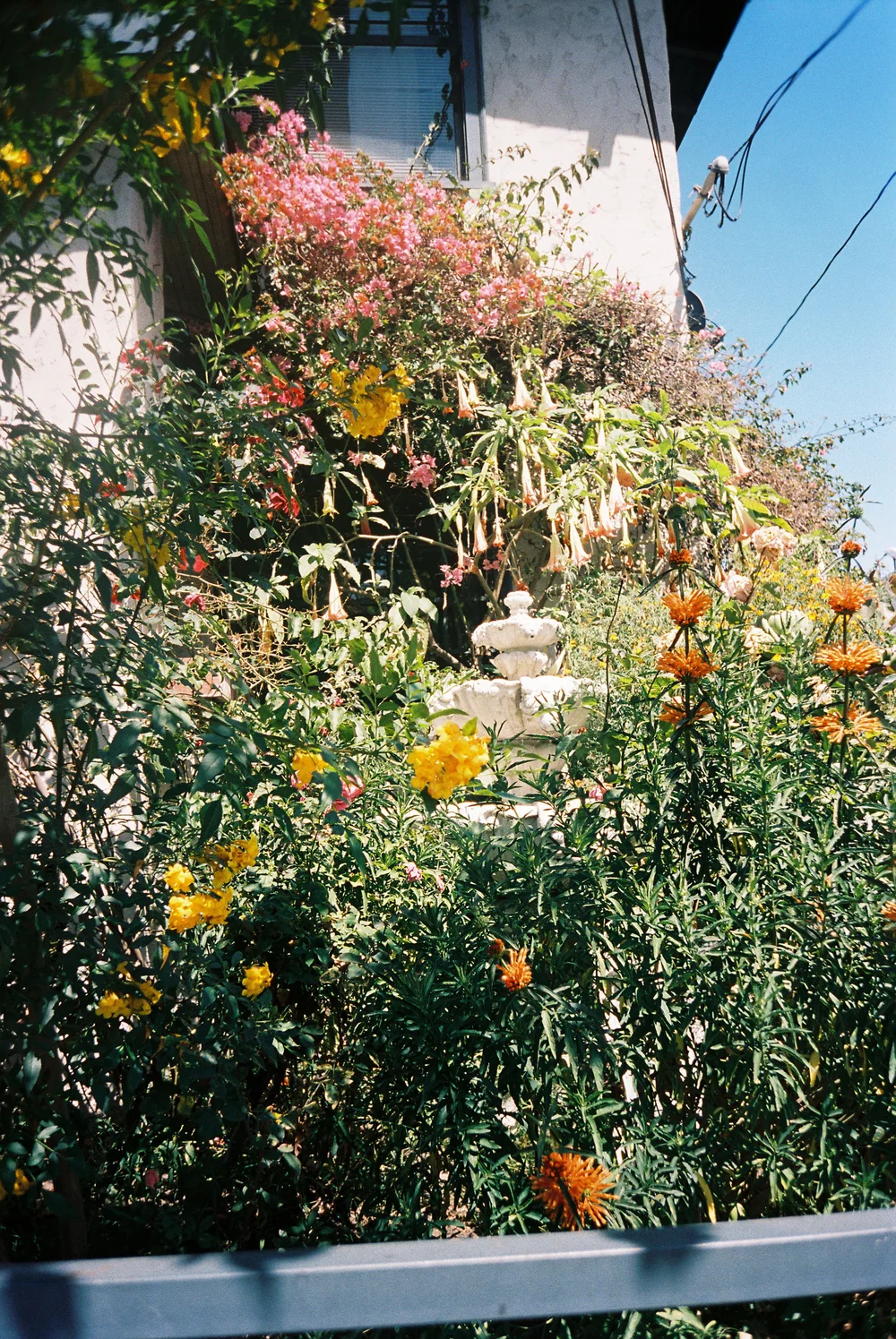 10659003580-R1-027-12.jpg