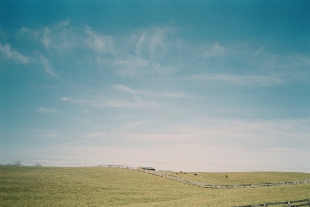 004637-R1-010-3A.jpeg