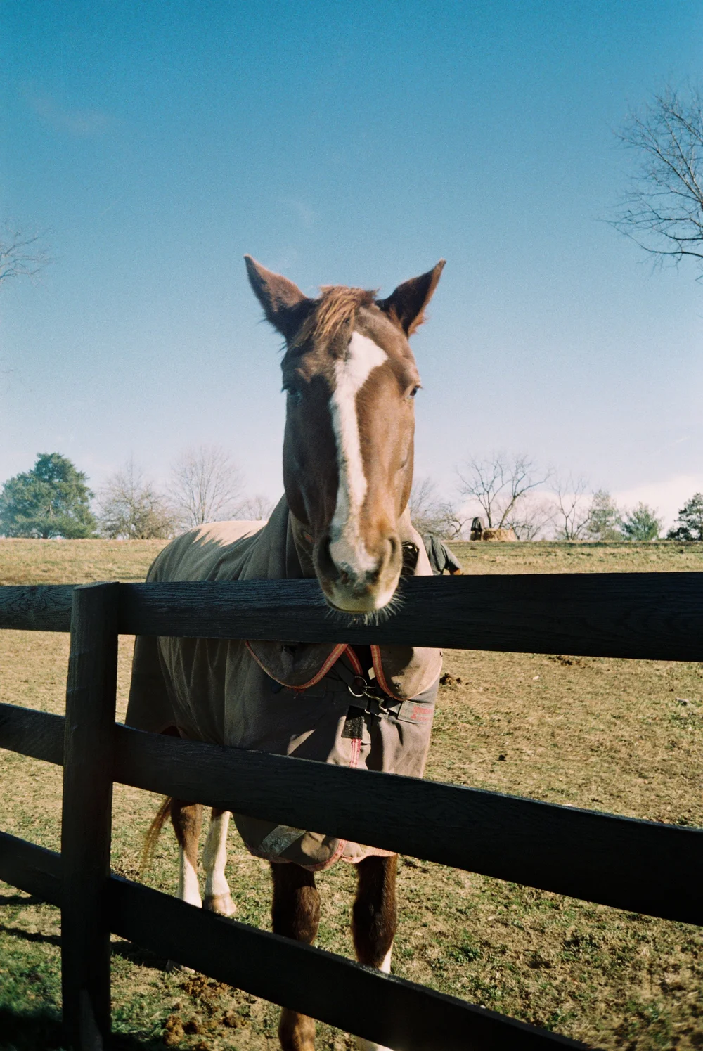 004637-R1-012-4A.jpeg