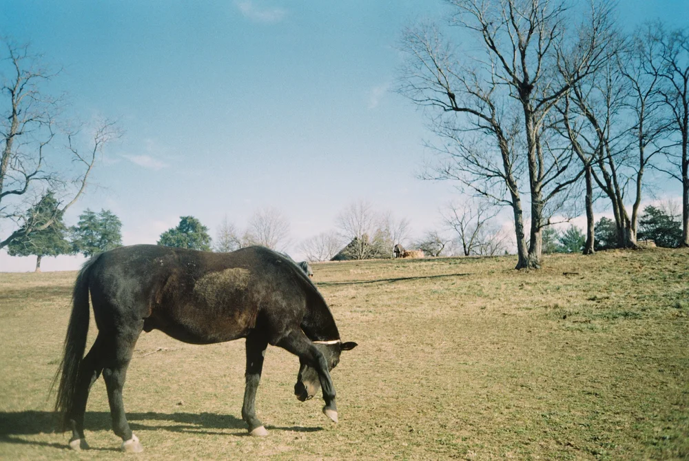 004637-R1-014-5A.jpeg