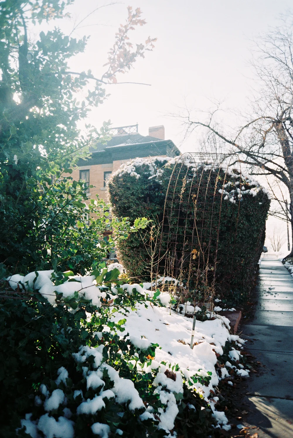 004637-R1-064-30A.jpeg
