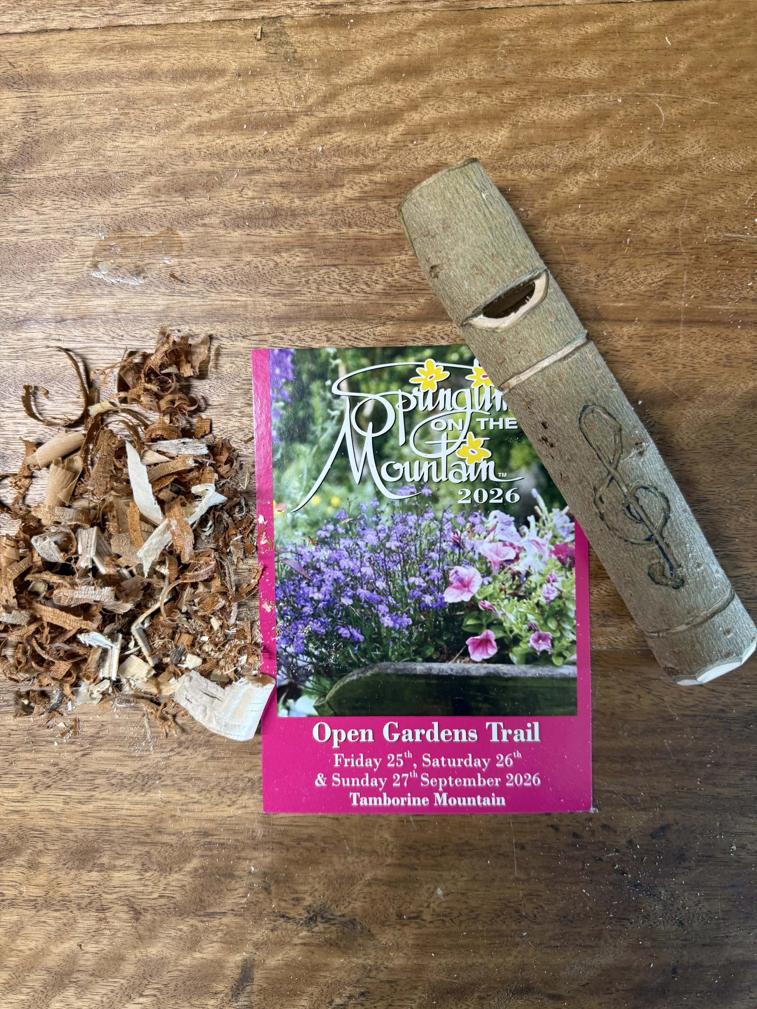 Kids workshop! Carve a green wood whistle