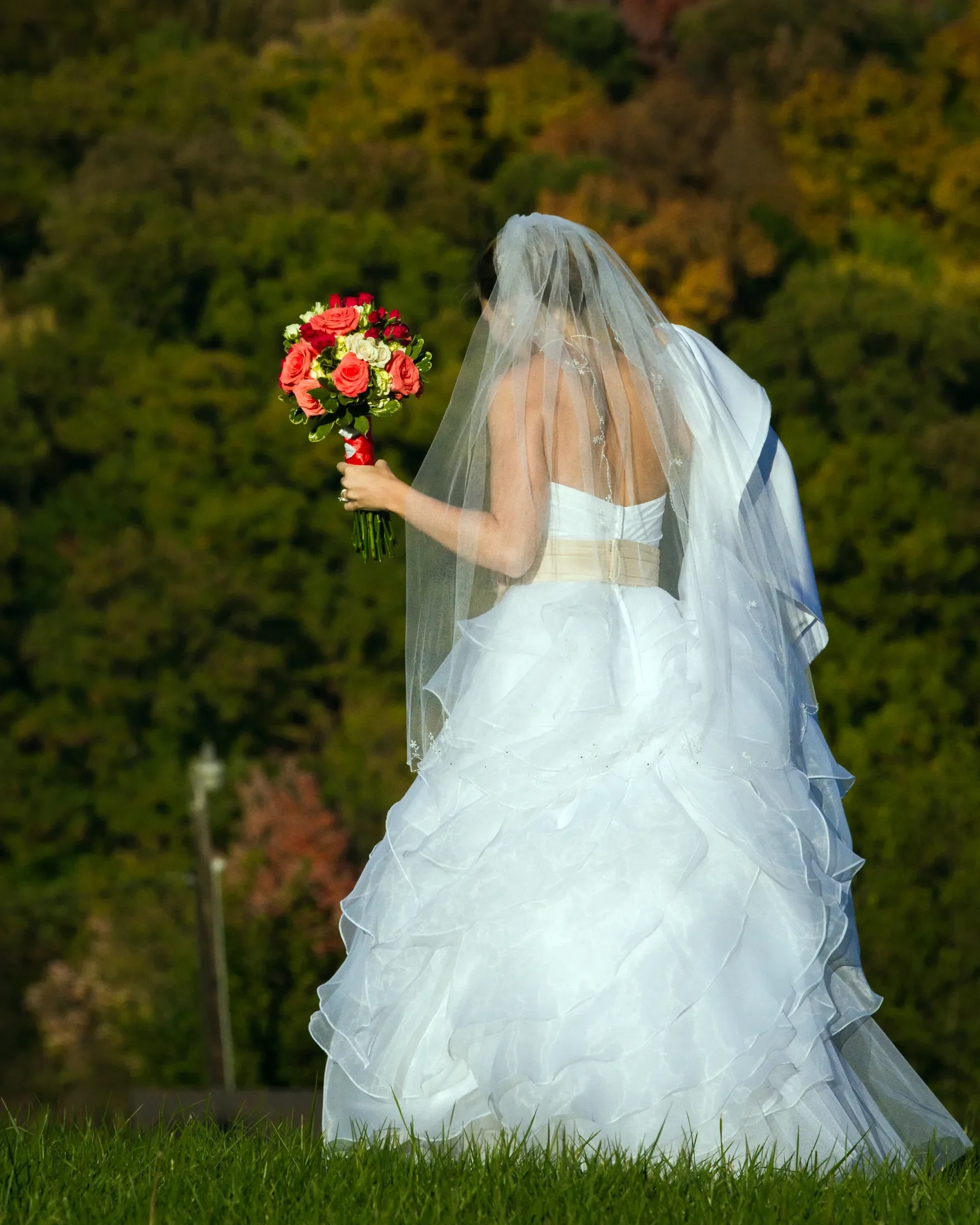 2012-10-12 Mini Vaca 7D 2677.webp