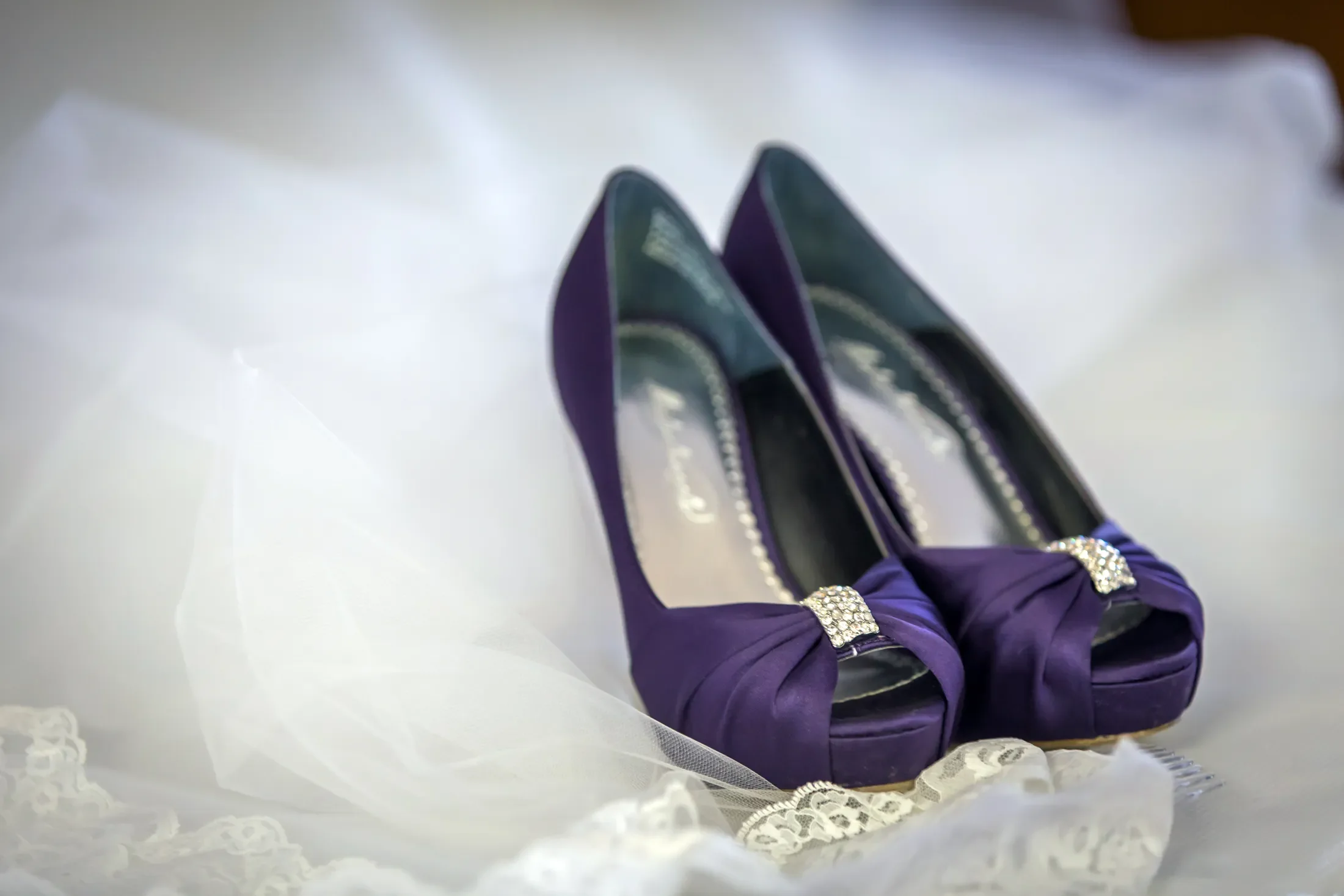 2014-03-08 Nikki's Wedding 6D 3531.webp