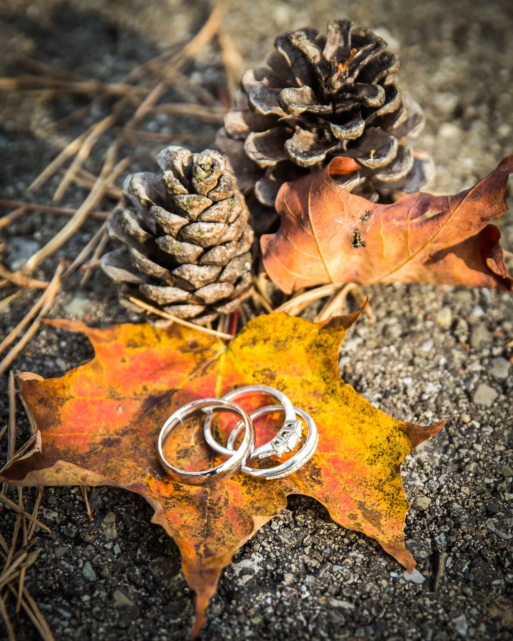 2017-10-07 Clint and Debbie 6D 6886.webp