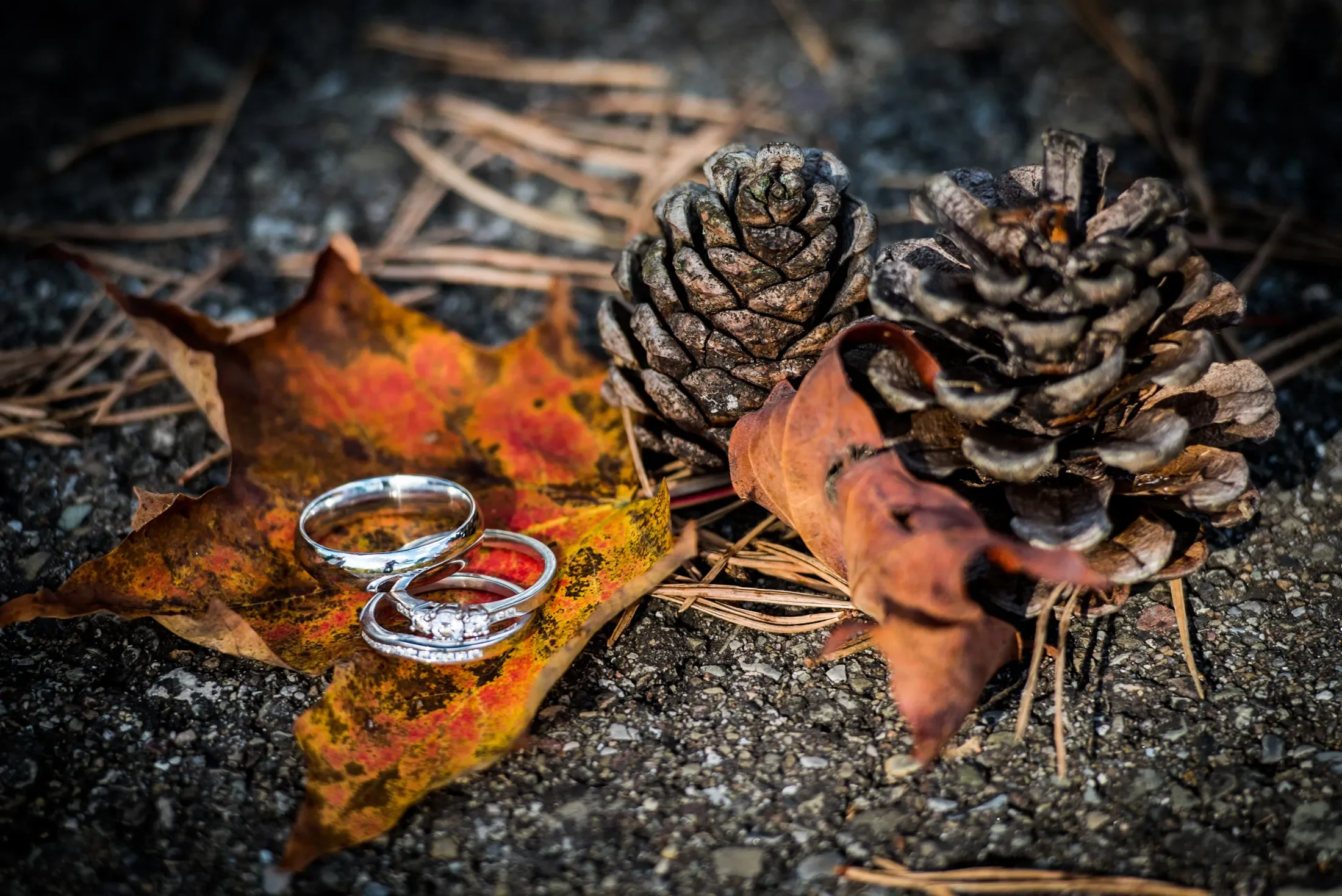 2017-10-07 Clint and Debbie D810 0437.webp