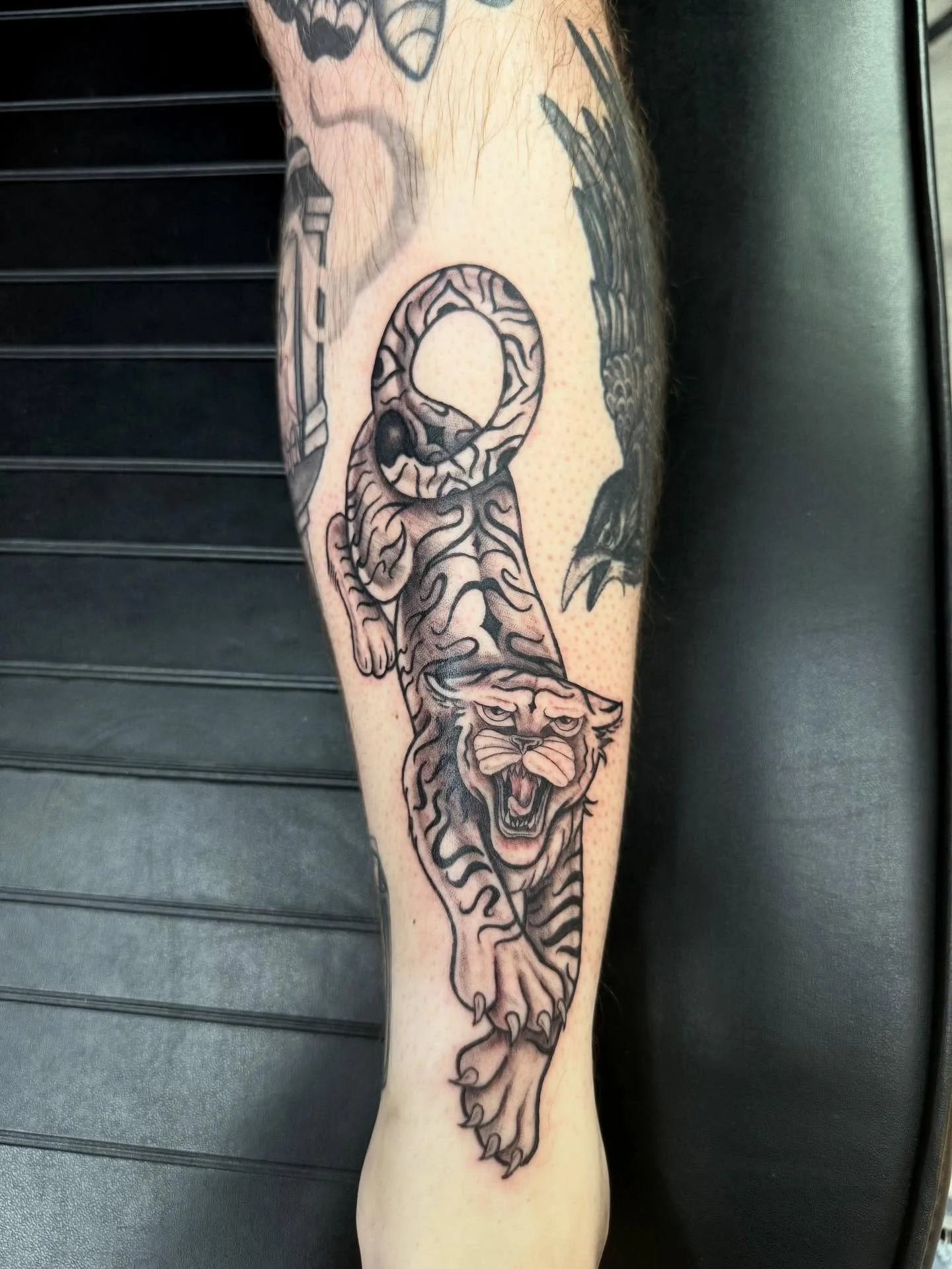 &bull;TIGER GAP FILLER&bull;
-
A fun gap filler to tie in the bottom half of this patch work sleeve. 
-
Swipe for non edited picture
-
#shintattoo #legtattoo #tigertattoo #tiger #cattat #southsurreybc #whiterockbc #langleybc #clovderdalebc #aldergrov
