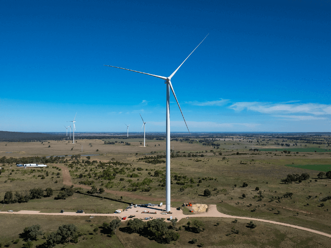 Curyo Wind Farm Newsletter, Edition 2