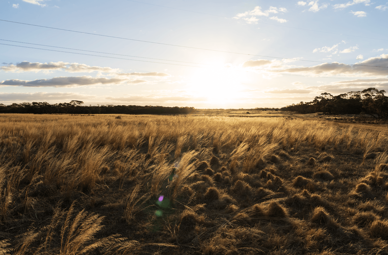 Curyo Wind Farm Newsletter, Edition 3