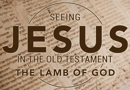 Life from Leviticus:     Repetition Points to Jesus