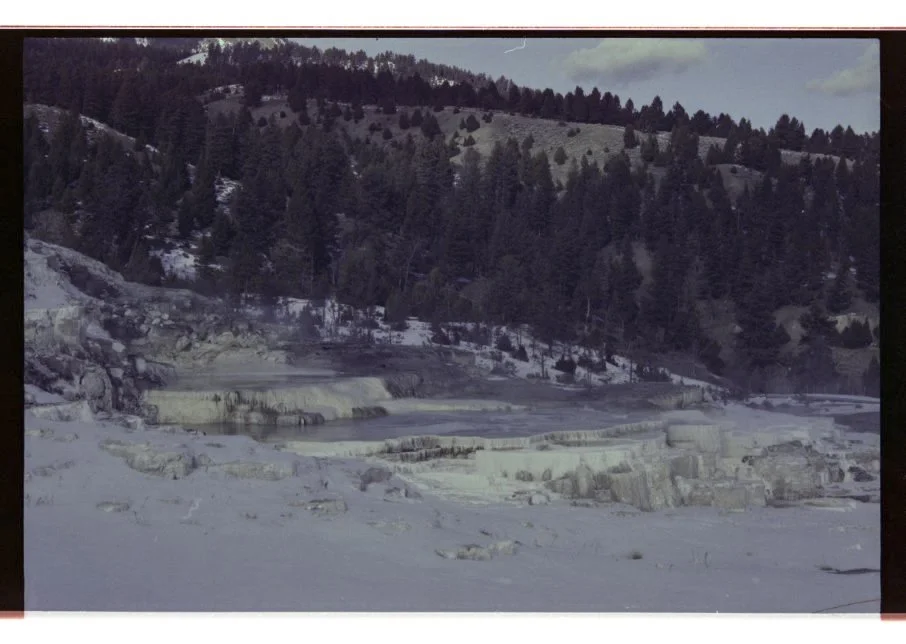 Edited_Color_Scans_March_2026-108.jpg