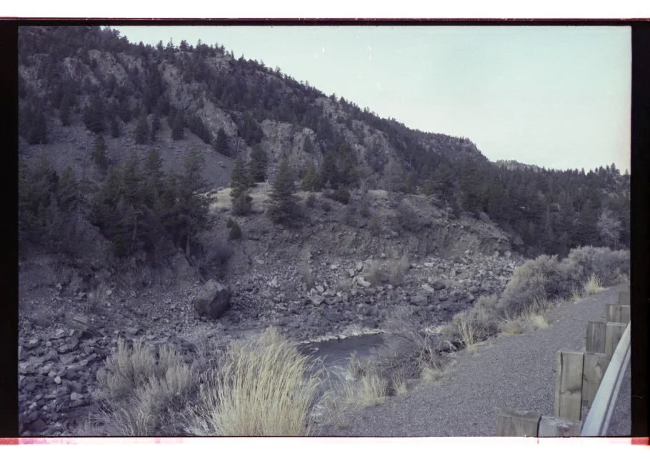 Edited_Color_Scans_March_2026-109.jpg