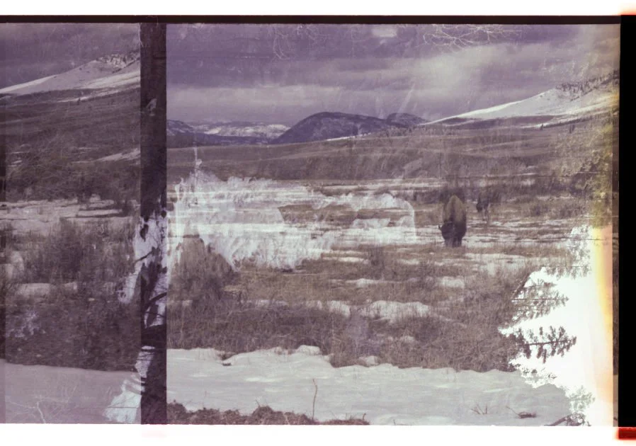 Edited_Color_Scans_March_2026-88.jpg