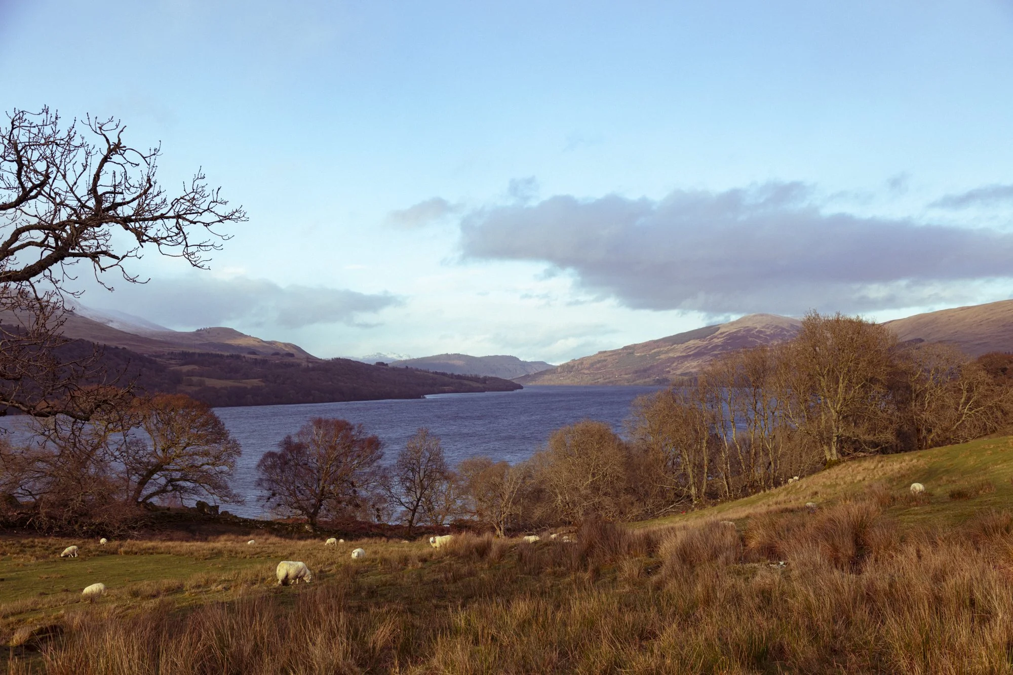 Scotland_Trip-51-2.jpg