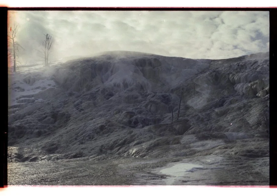 Edited_Color_Scans_March_2026-104.jpg