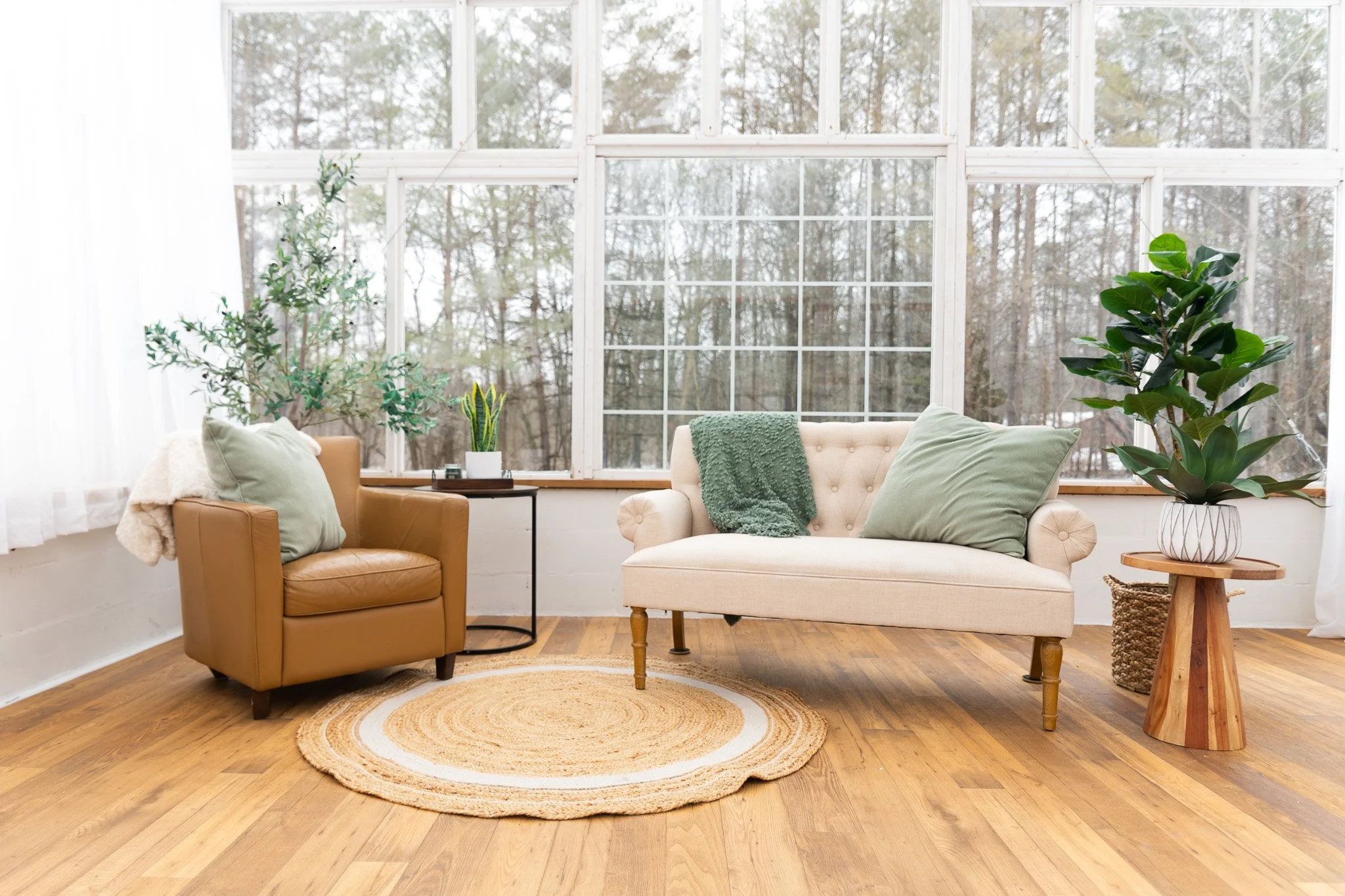 2026 neutral (1).jpg