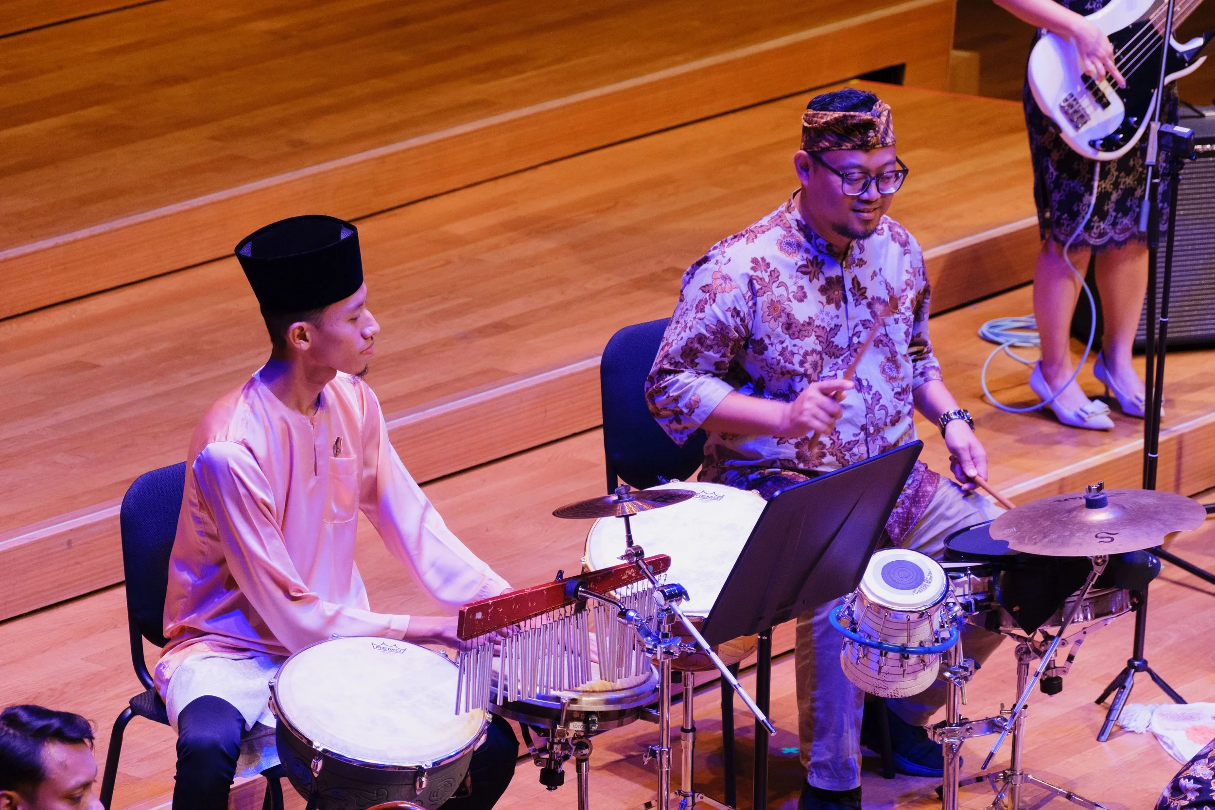 Learning in multi-ethnic ensemble