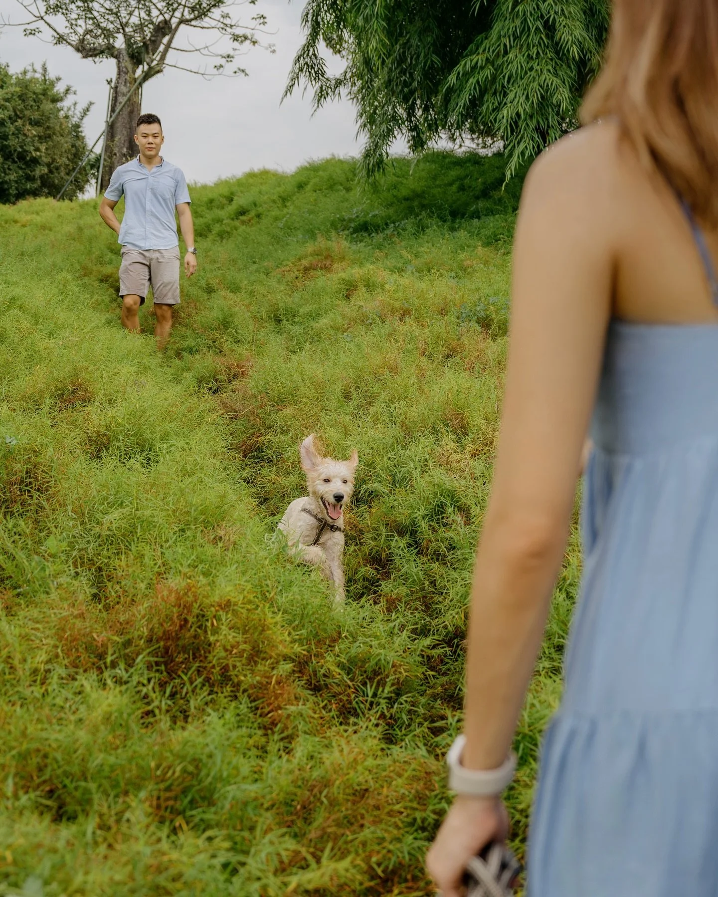 🐰🐶 𝘼 𝙗𝙪𝙣𝙣𝙮?! 𝙉𝙤, 𝙞𝙩&rsquo;𝙨 𝙏𝙚𝙙𝙙𝙮!

Teddy and his lovely hoomans J &amp; E spent a cloudy weekend morning with me, to capture memories of their family at Teddy&rsquo;s puppy stage.

The highlight of the photoshoot was Teddy bouncing