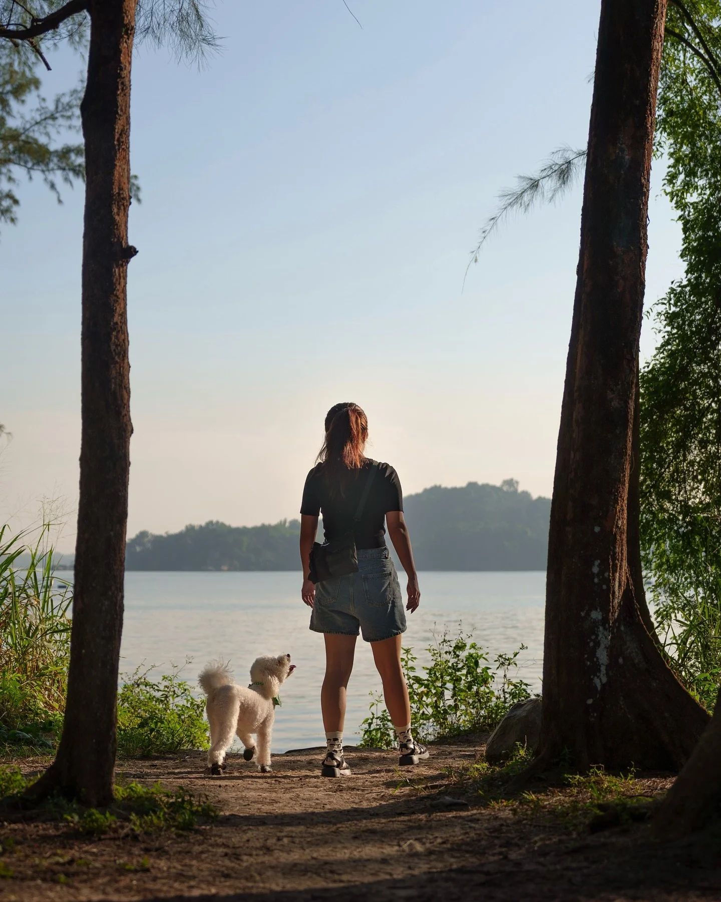 Quiet moments between M &amp; Millo, a gentle morning celebrating a special occasion. This is the first time I&rsquo;ve been hired by a fellow photographer, to document her bond with her lil&rsquo; sidekick: thanks for trusting me with this special p