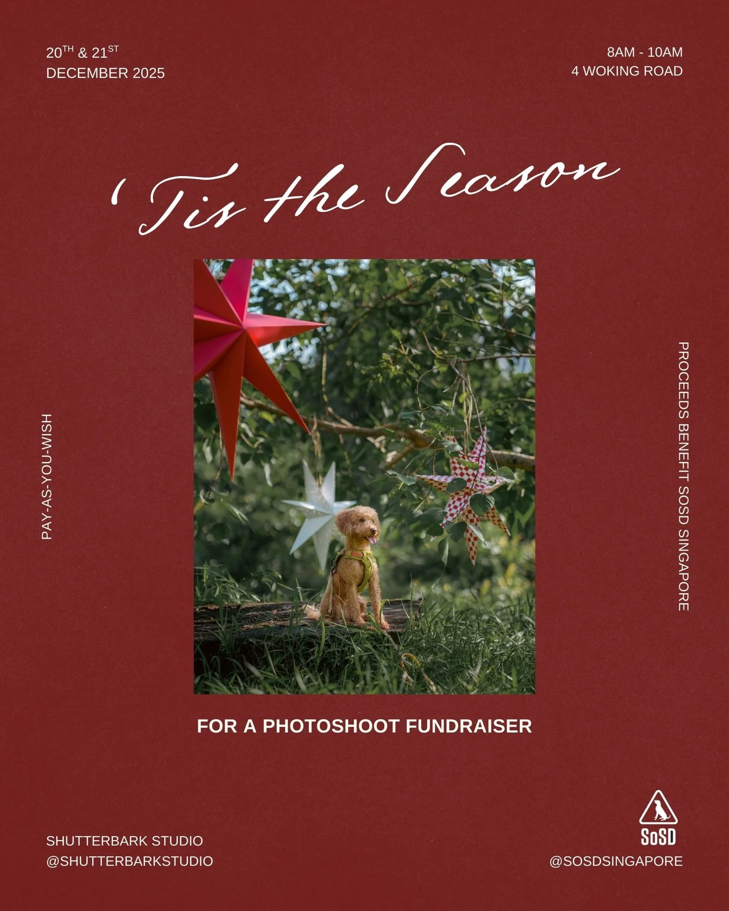 🎄𝙏𝙞𝙨&rsquo; 𝙩𝙝𝙚 𝙎𝙚𝙖𝙨𝙤𝙣&hellip;𝙛𝙤𝙧 𝙖 𝙥𝙝𝙤𝙩𝙤𝙨𝙝𝙤𝙤𝙩 𝙛𝙪𝙣𝙙𝙧𝙖𝙞𝙨𝙚𝙧! 🐶📸 
To celebrate this Christmas season, ShutterBark Studio would like to give back to our community &mdash; with a Christmas-themed photoshoot fundraise