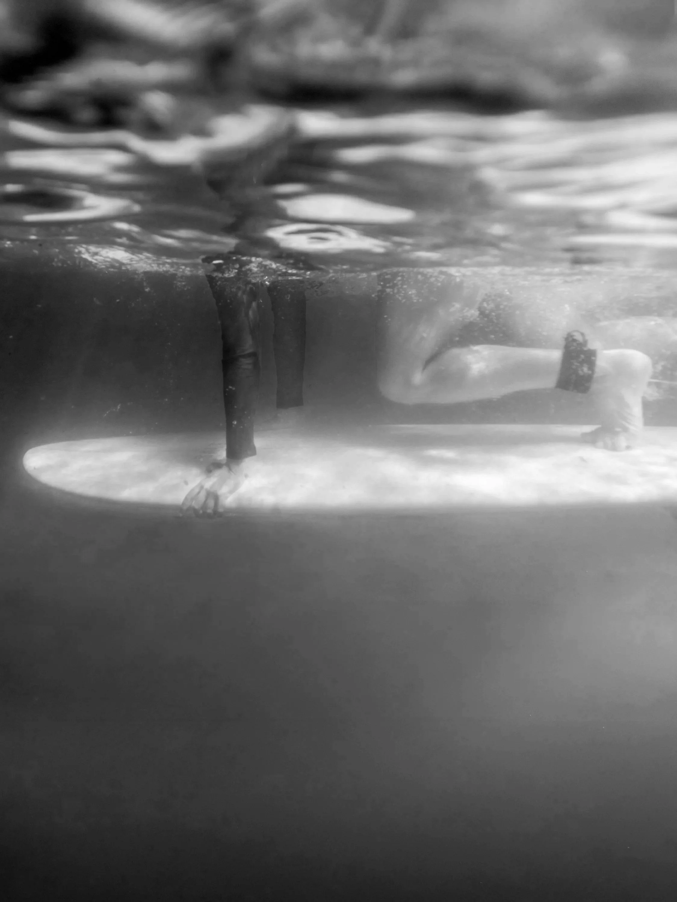 Underwater+Photography+Workshop-.jpg