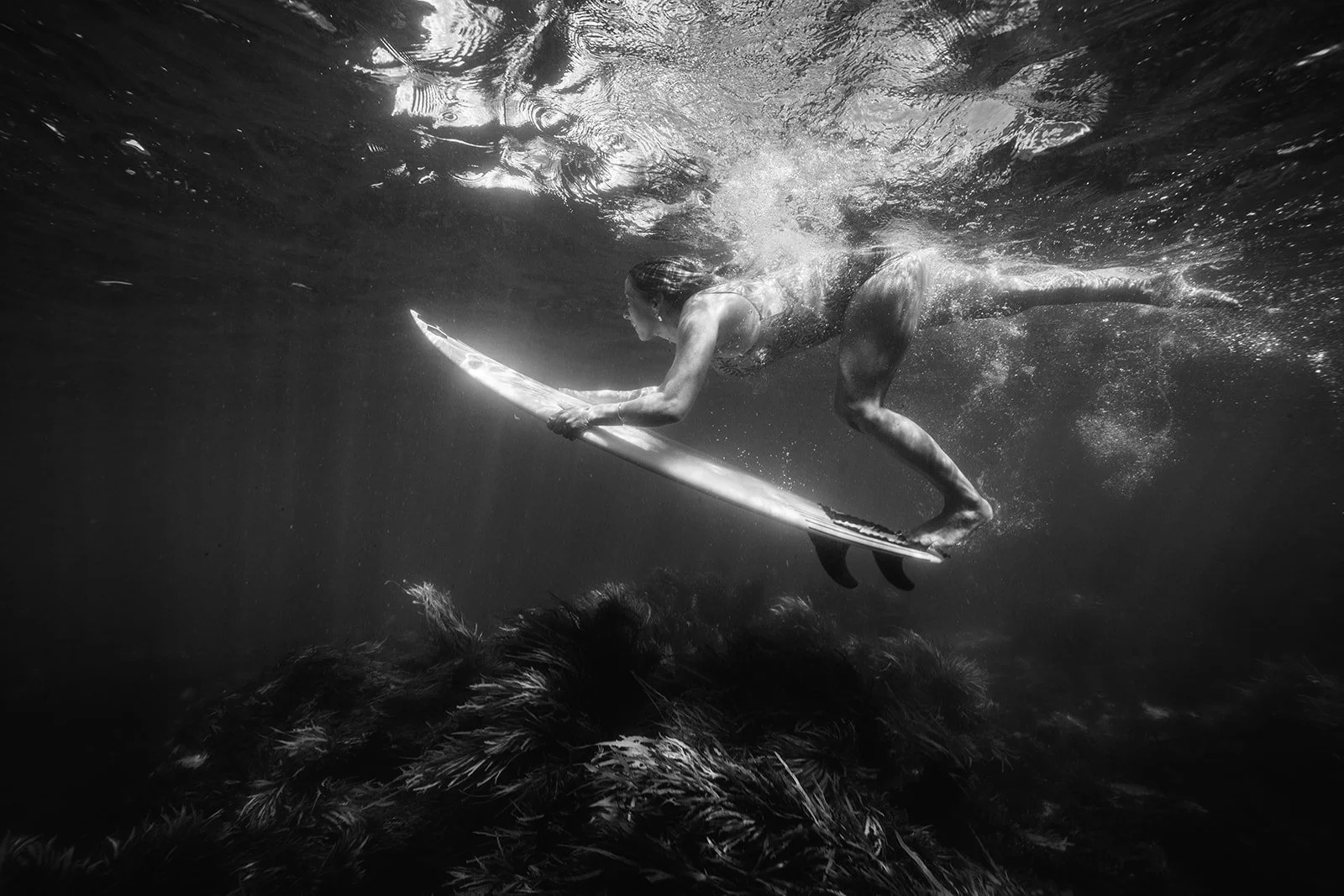 002 DiP Underwater Workshop Sept 26.jpg