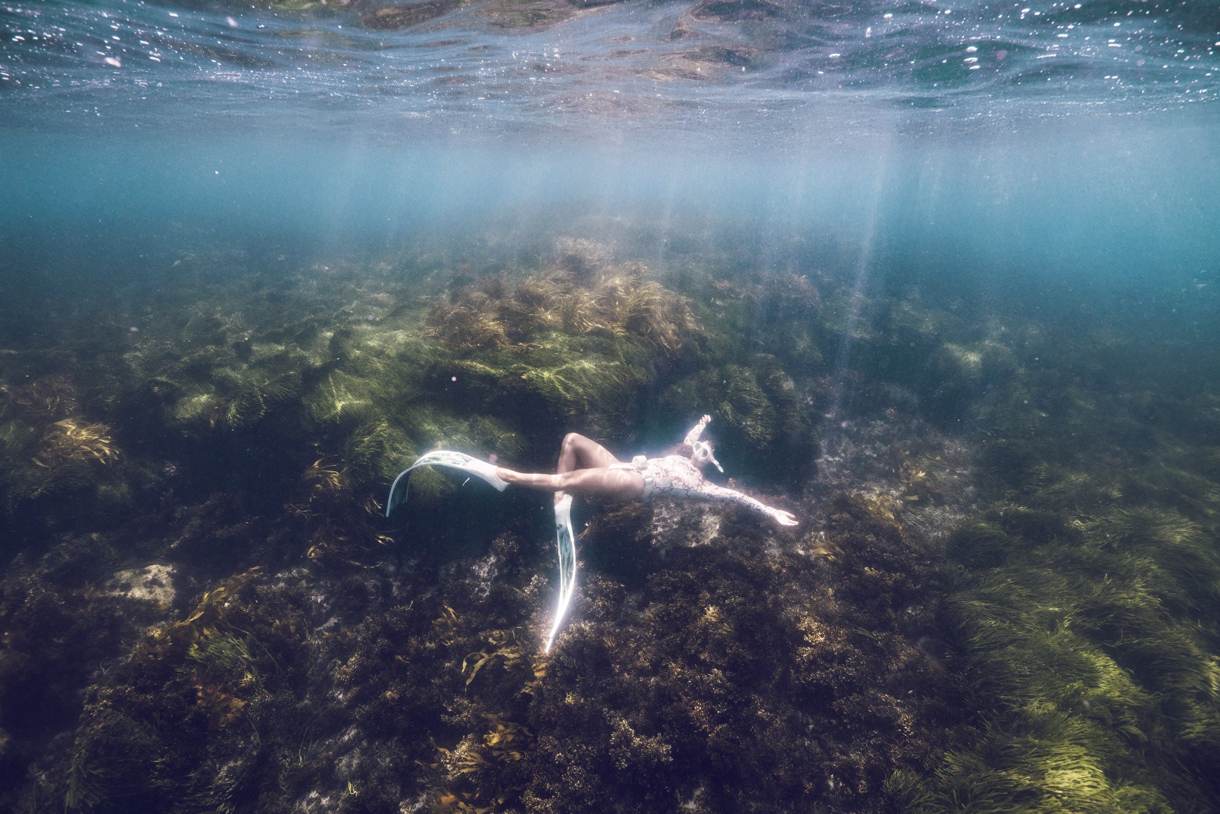 A person swimming underwater over a rocky and seaweed-covered ocean floor, with water shimmering above.
