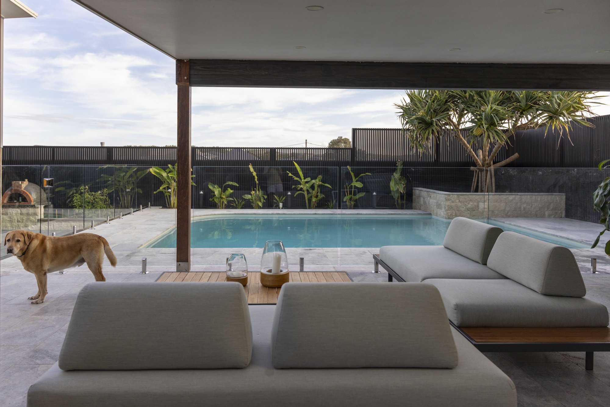Modern outdoor patio with a swimming pool, two white sofas, a wooden coffee table with candles, and a dog standing on the patio, overlooking the pool area surrounded by plants and trees.