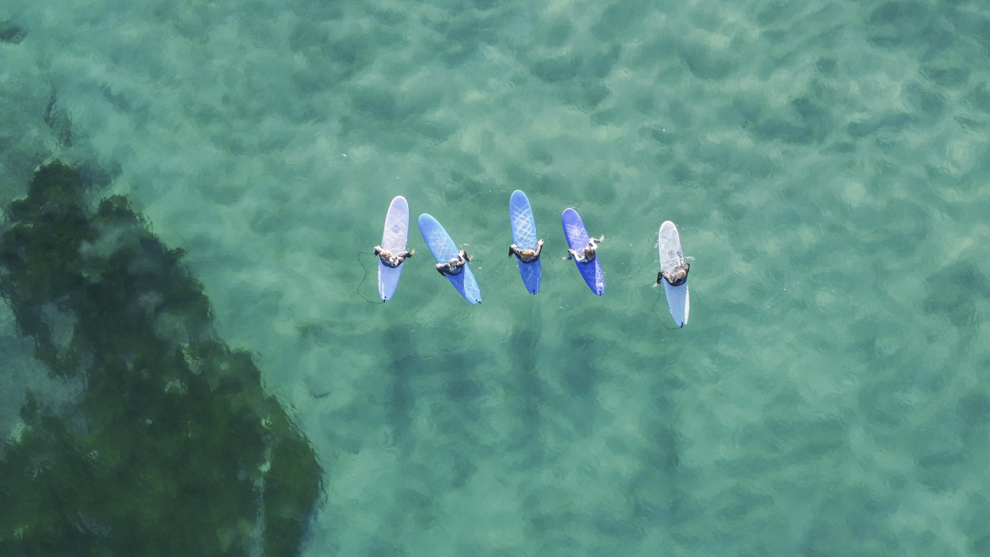 Five people surfing in the ocean, each on a surfboard, with some wearing wetsuits, seen from above over clear green water.