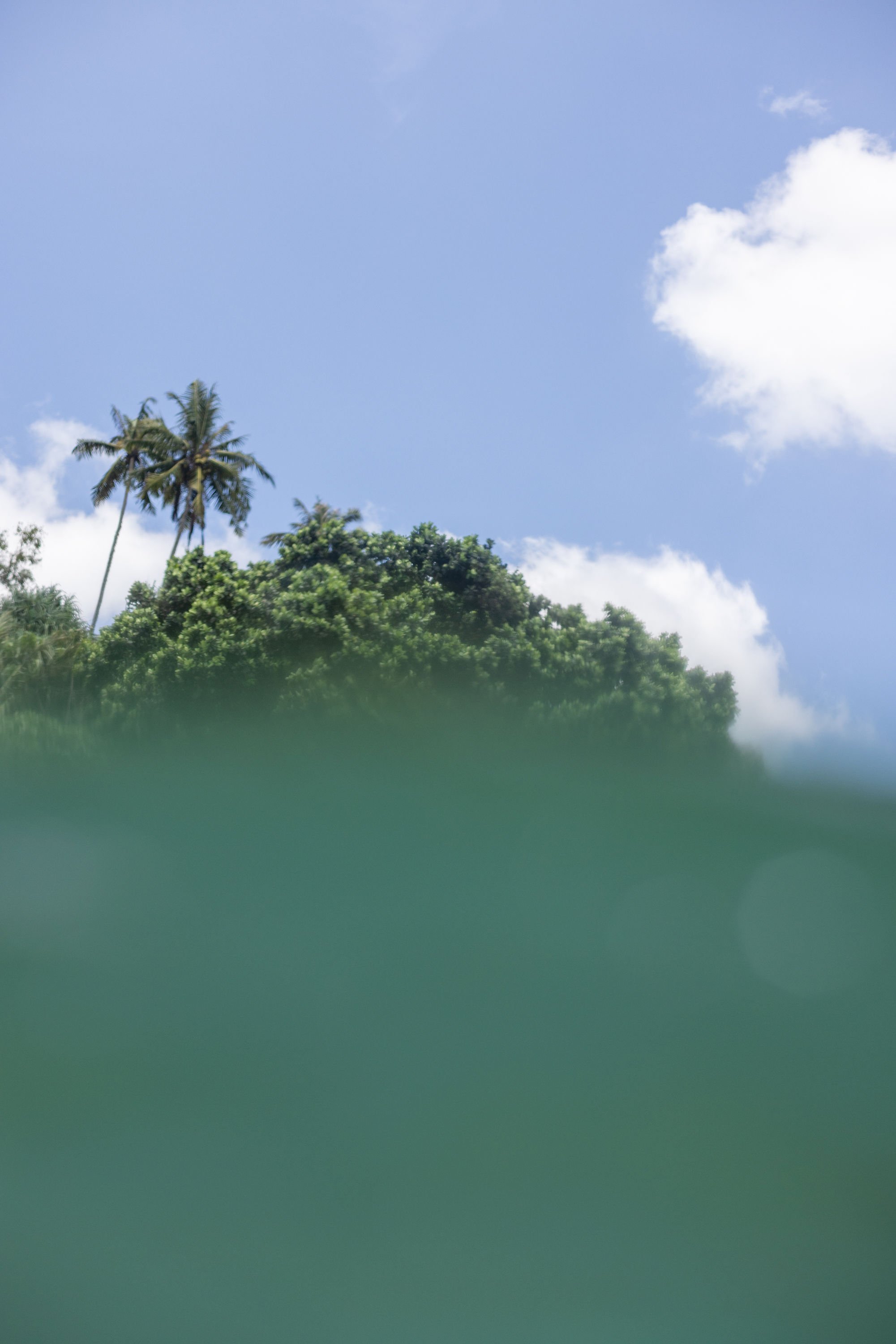 A view of the ocean surface with a greenish hue, partially obscuring the land and trees with tall palms and lush foliage in the background under a blue sky with white clouds.