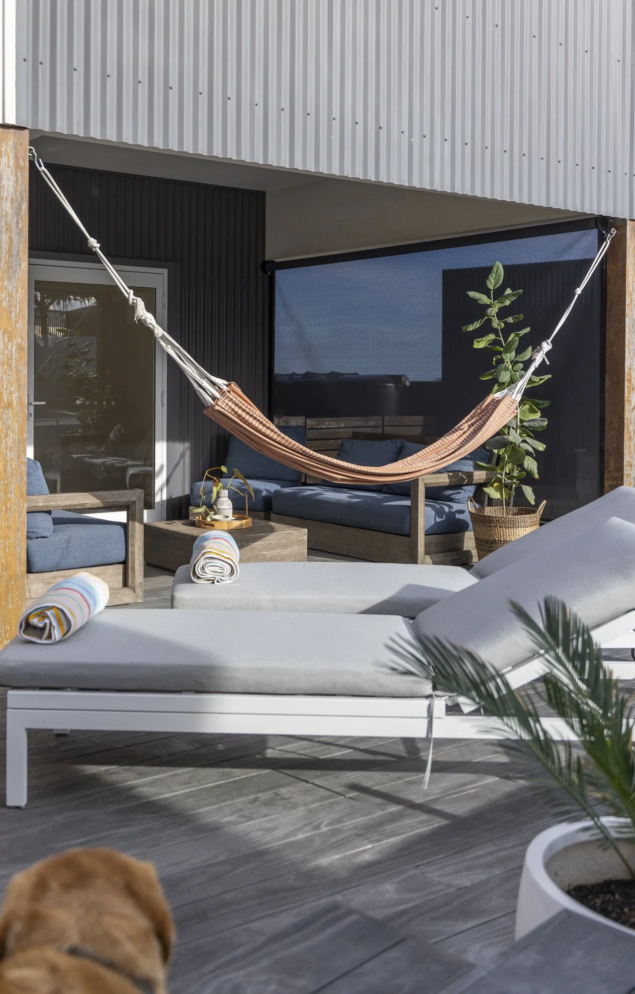 Outdoor sitting area with a hammock, lounge chairs with rolled towels, potted plants, and a dog at the bottom left.