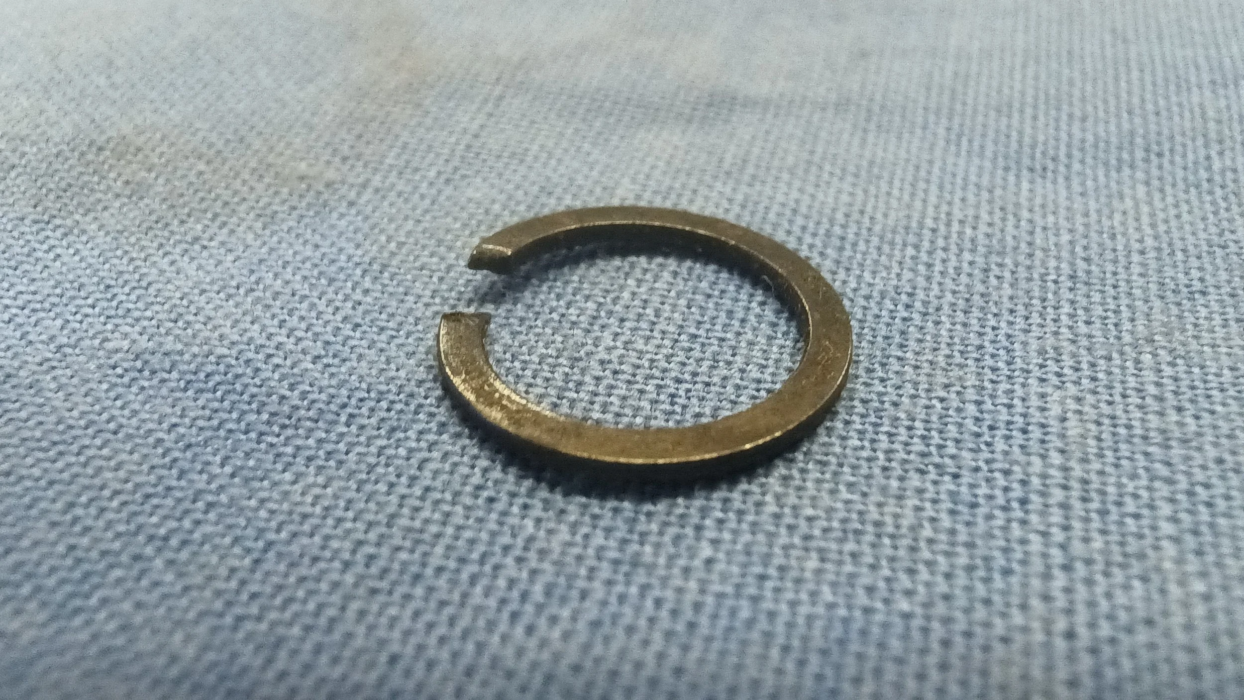399921C1 RING