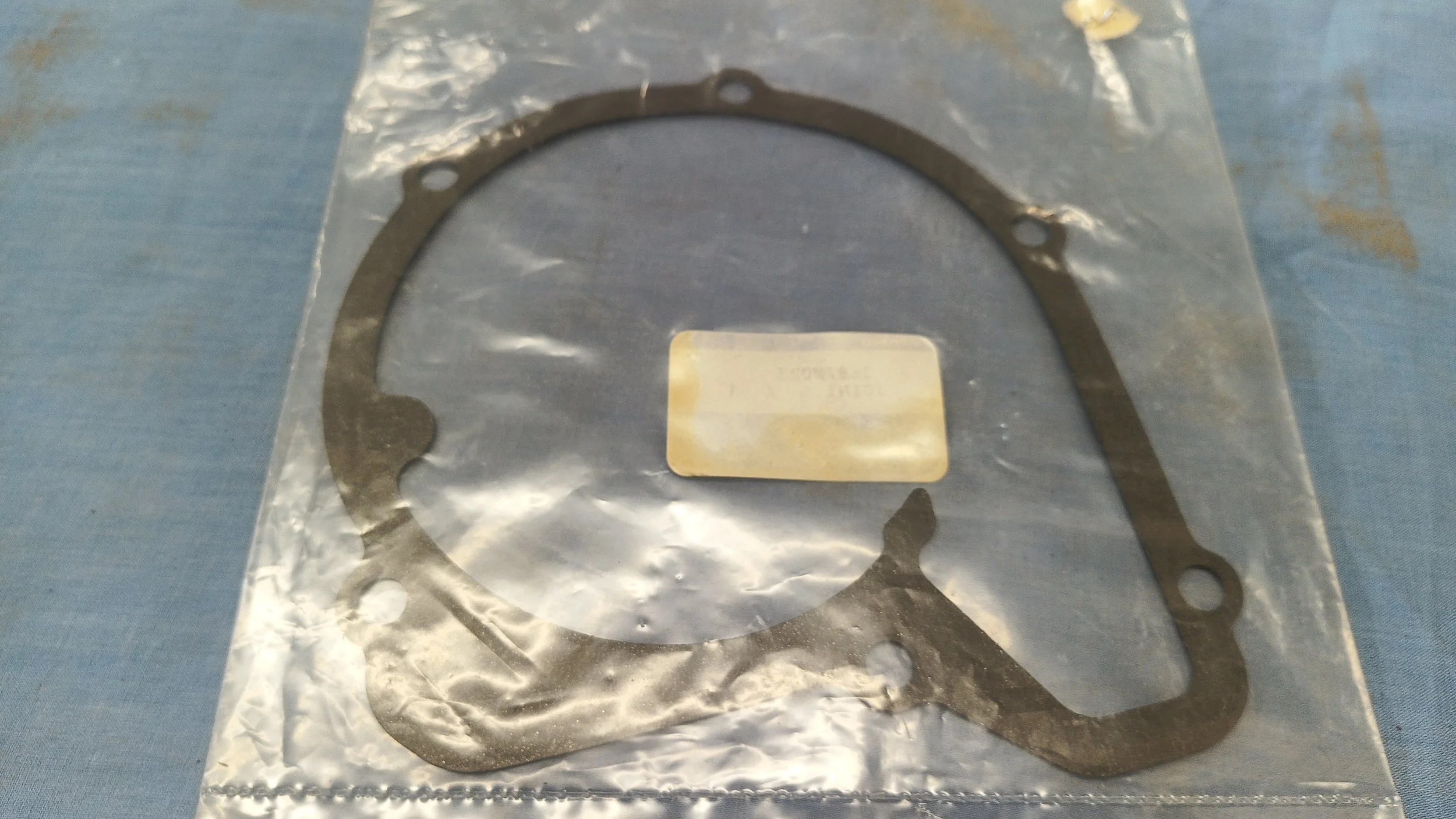 795763R1 WATER PUMP GASKET