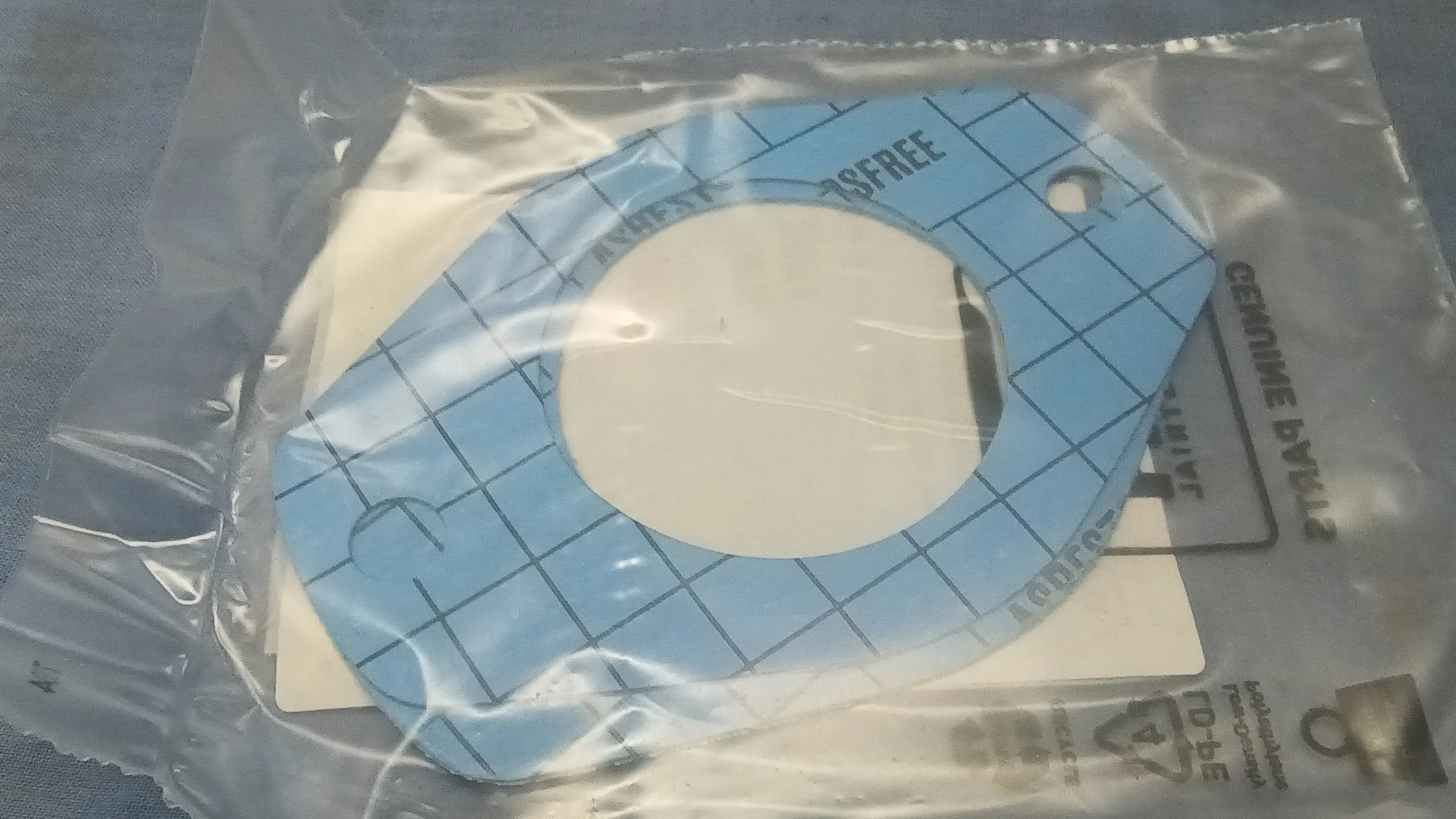 3055384R1 GASKET