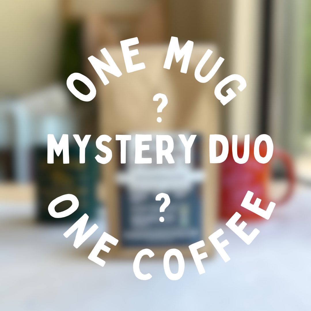 Bold Type Announcement Instagram Post-4.png