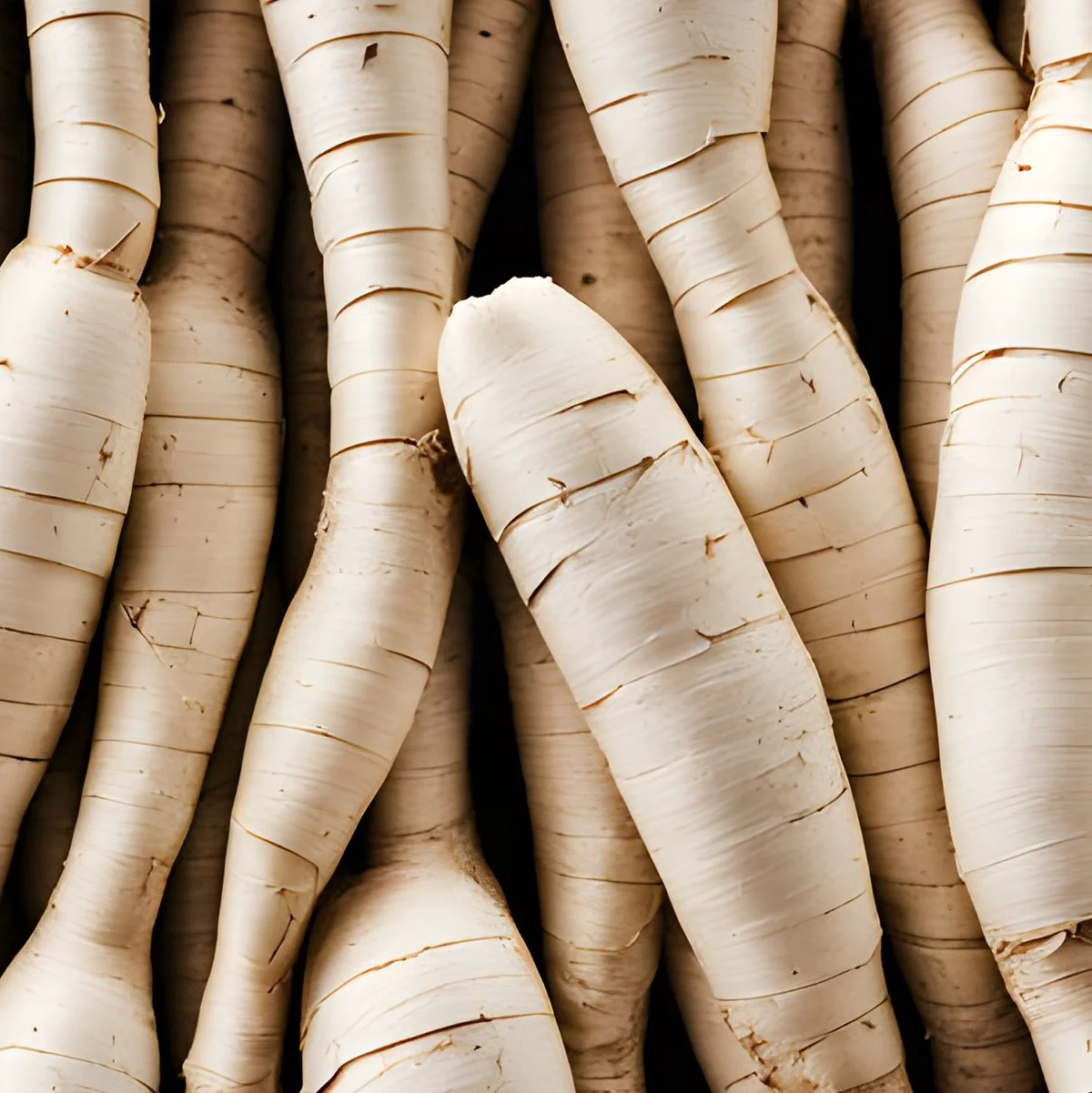 arrowroot-filling-background.jpg