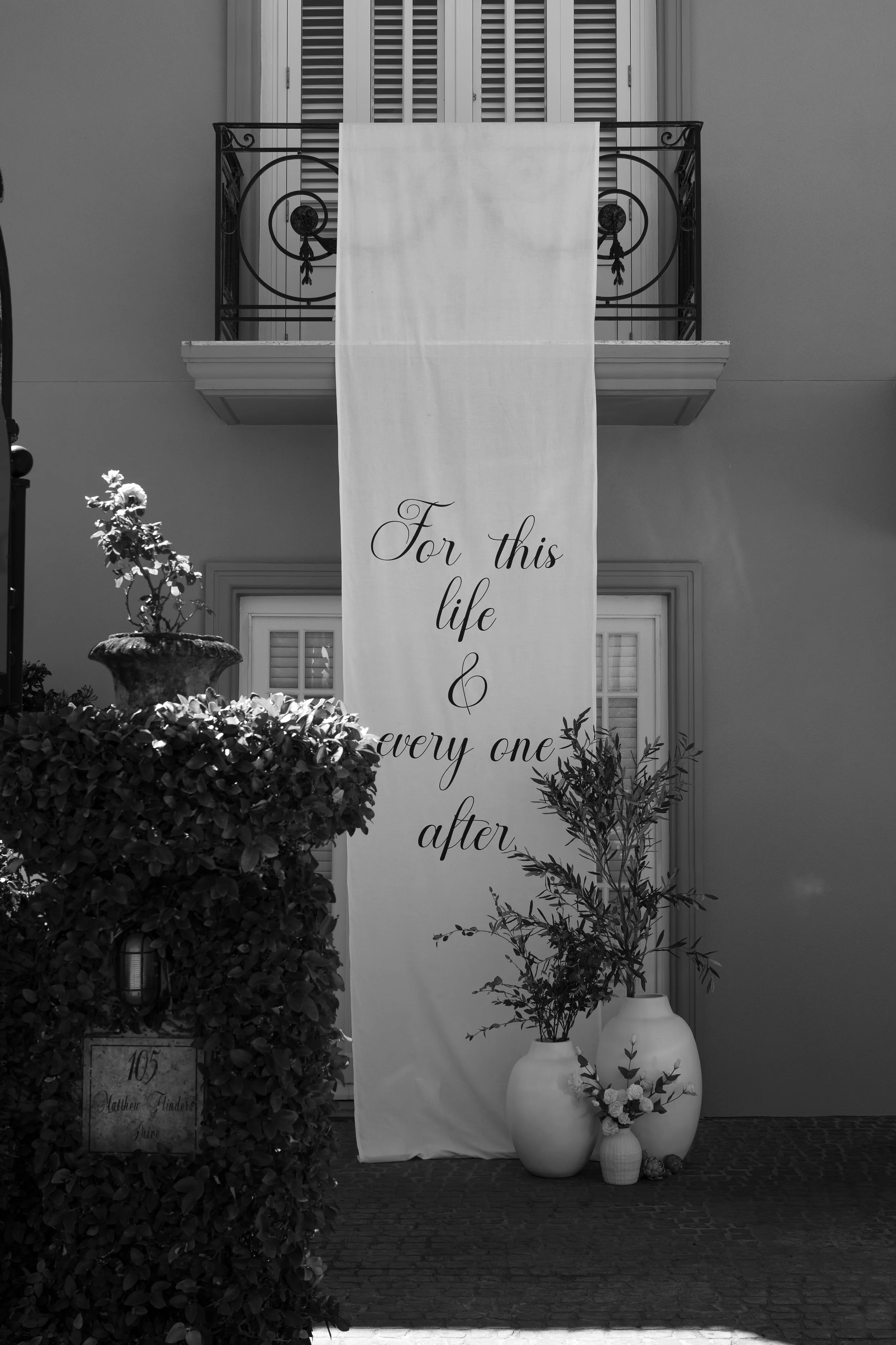DSC06584.jpg