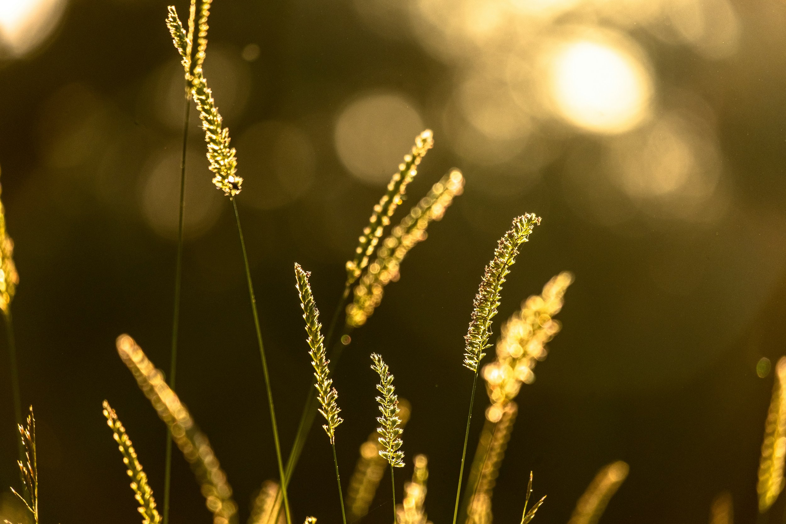 Therapist Spotlight: Navigating Conflict With Compassion