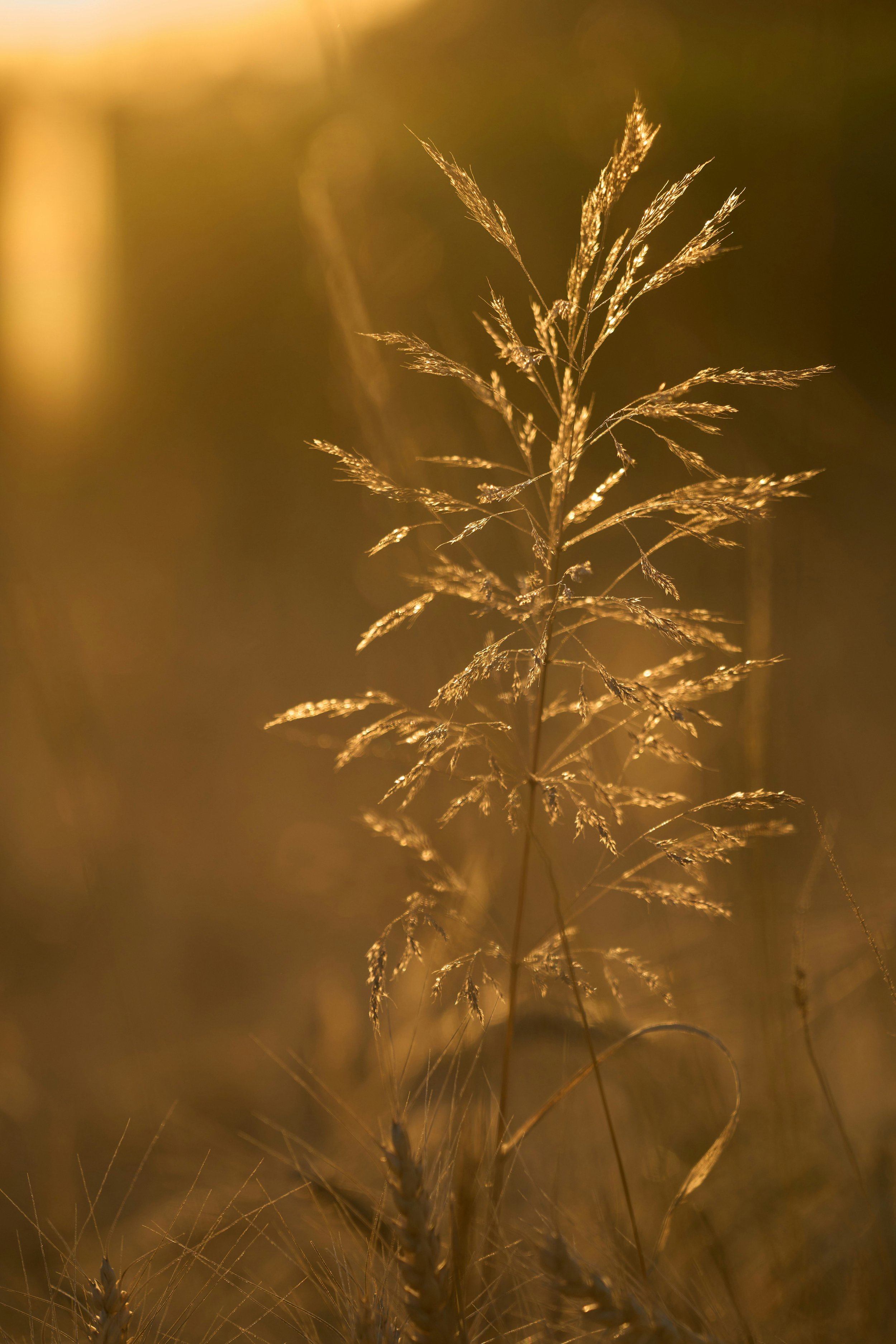 Book Review: The Seven Principles for Making Marriage Work