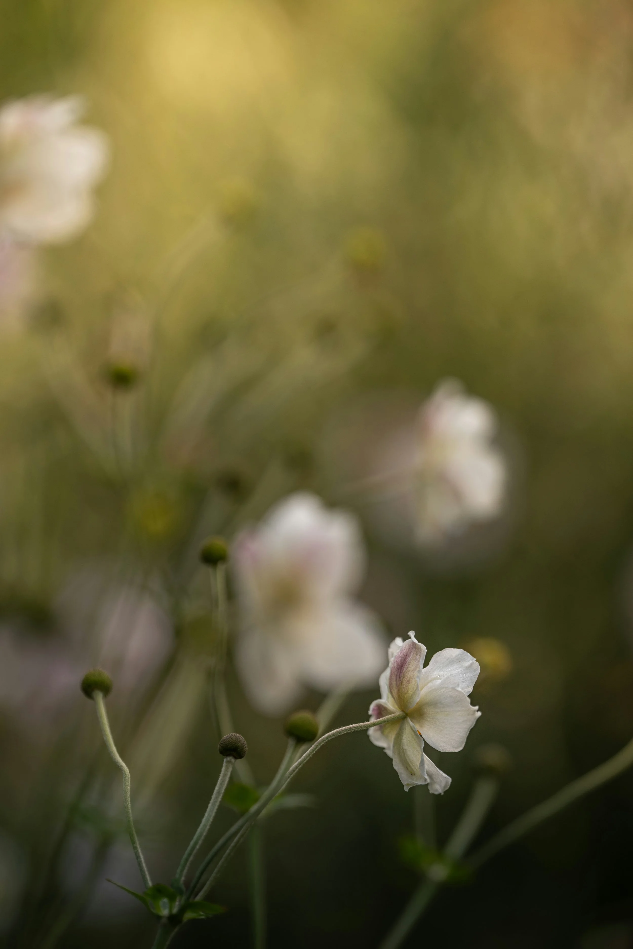 Mental Health Awareness Month: Why It Matters (and Why It’s for Everyone)